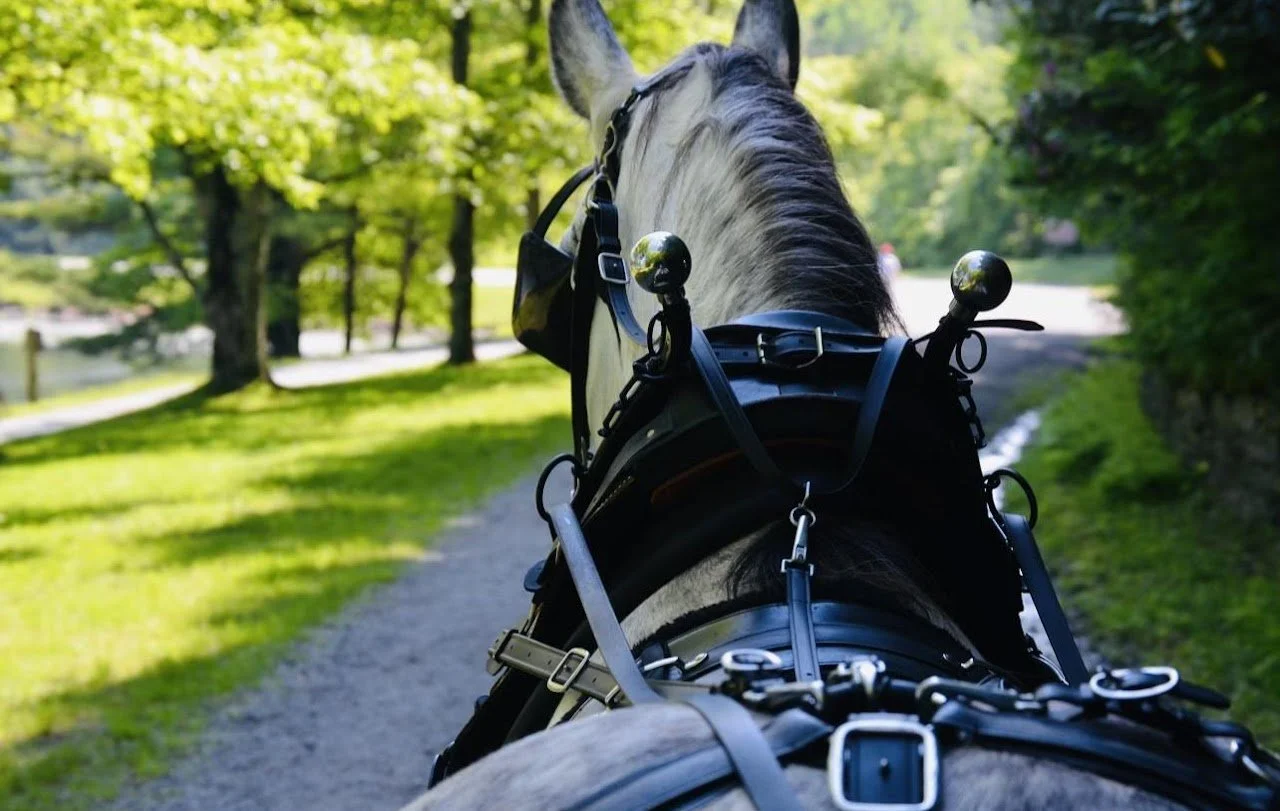 37d0edd8-f22e-4f11-8b70-80d37d484aad.jfif