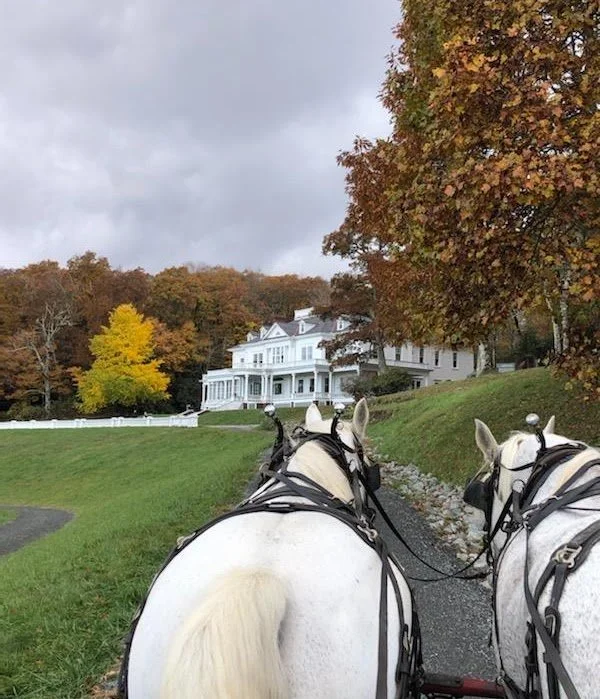 9d0ef455-679d-4ea9-8914-1d748872c64e.jfif