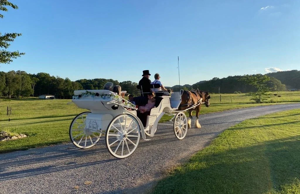 afaef1ee-493b-418f-989c-23351dceeb03.jfif