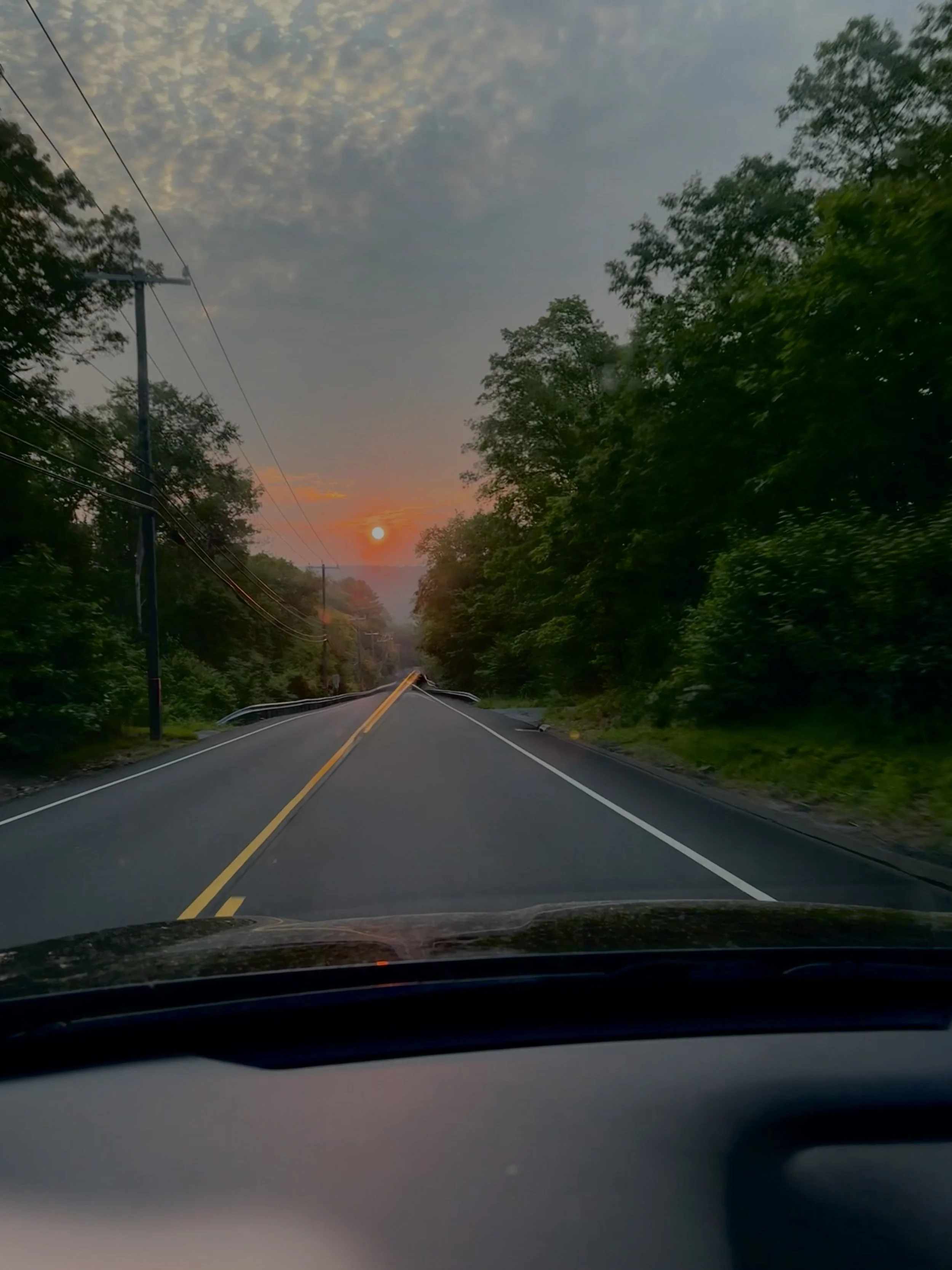A road surrounded by dense green trees on both sides, with the sun setting on the horizon, casting an orange glow in the sky, a minor car accident has caused the road to be partially blocked.
