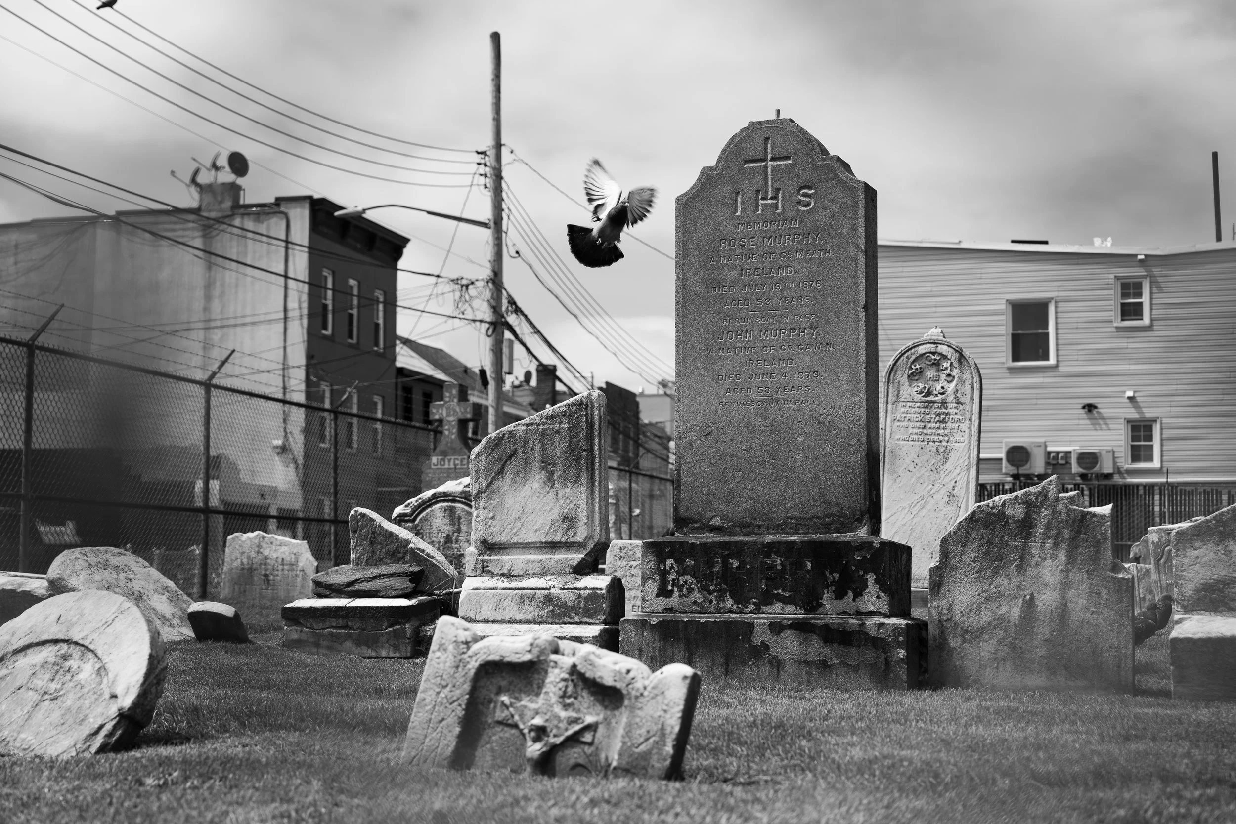 untitled-17.jpg