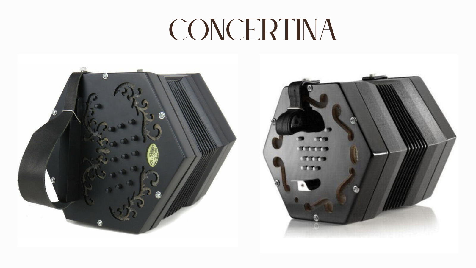 All About Concertina