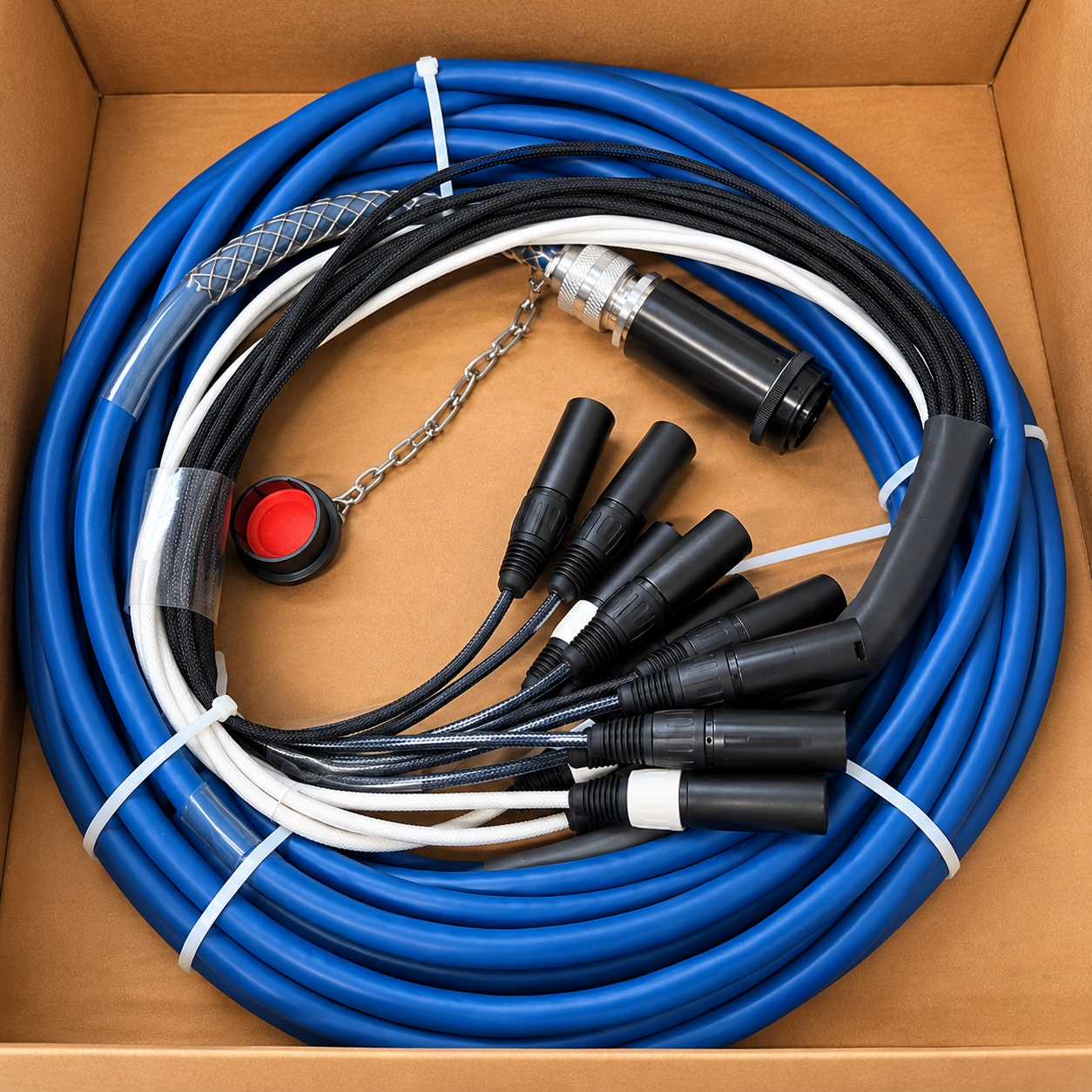 Whirlwind DrumSN12NRM-50 professional audio