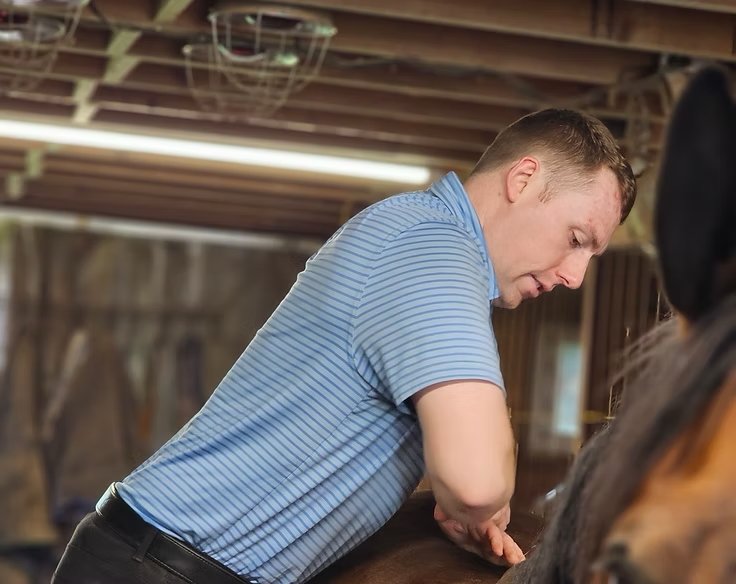 Understanding Pro‑Stride &amp; Joint Health in Horses
