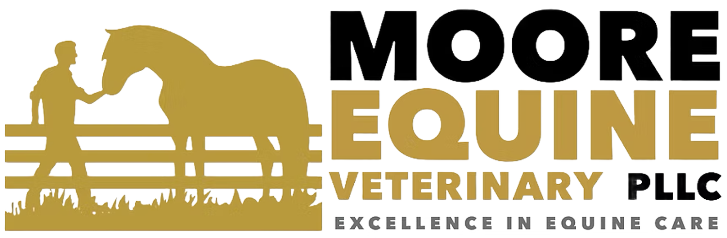Moore Equine