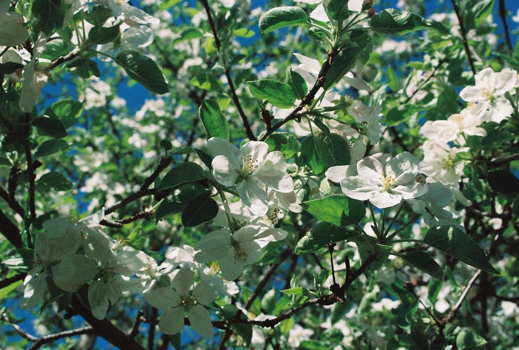 IMG_1954.jpeg