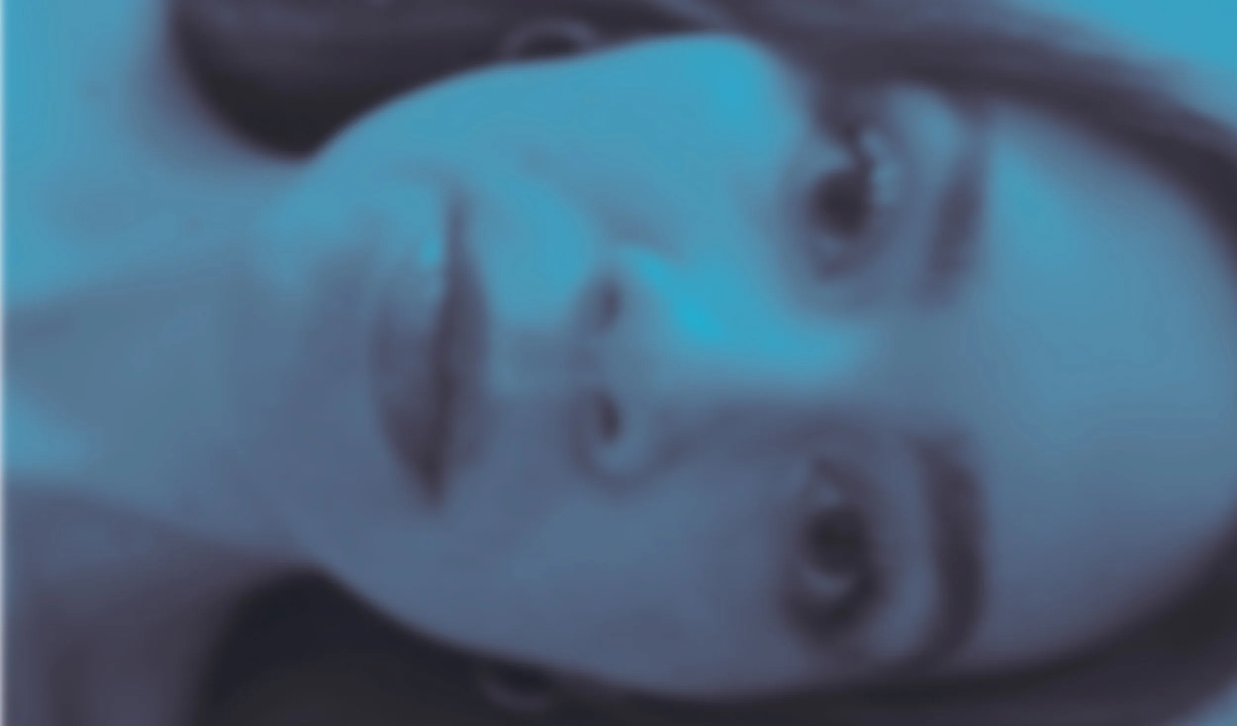 Untitled-22.jpeg