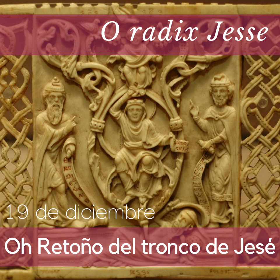 o-radix-jesse-dic-19_orig.png