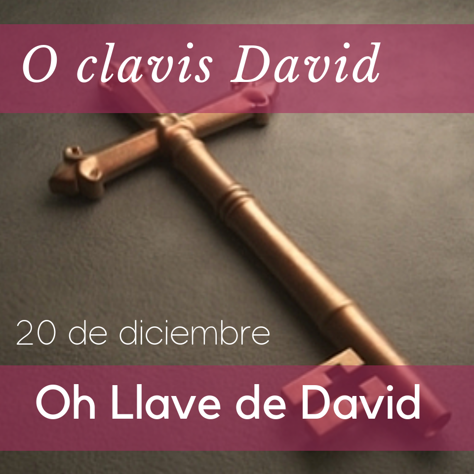 o-clavis-david-dic-20_orig.png