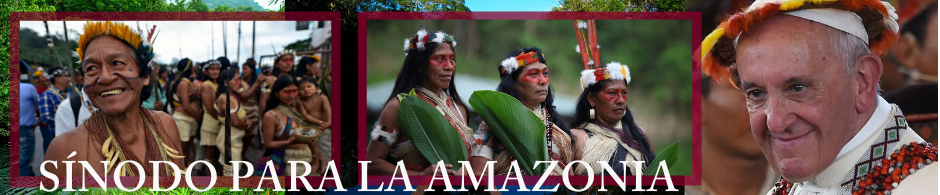 Sínodo para la amazonia