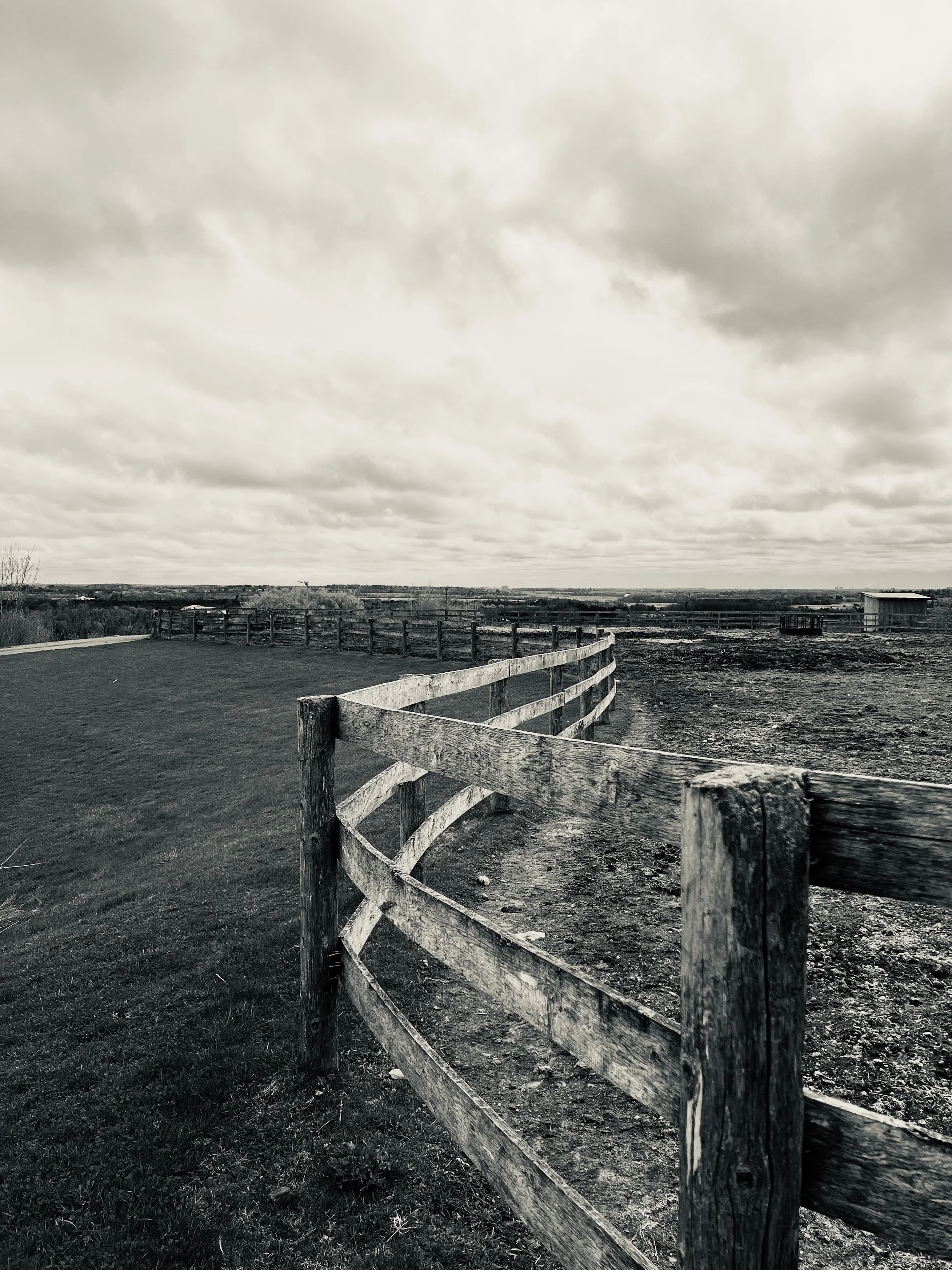 A rural landscape with a wooden fence running along a grassy field, cloudy sky overhead, in black and white.