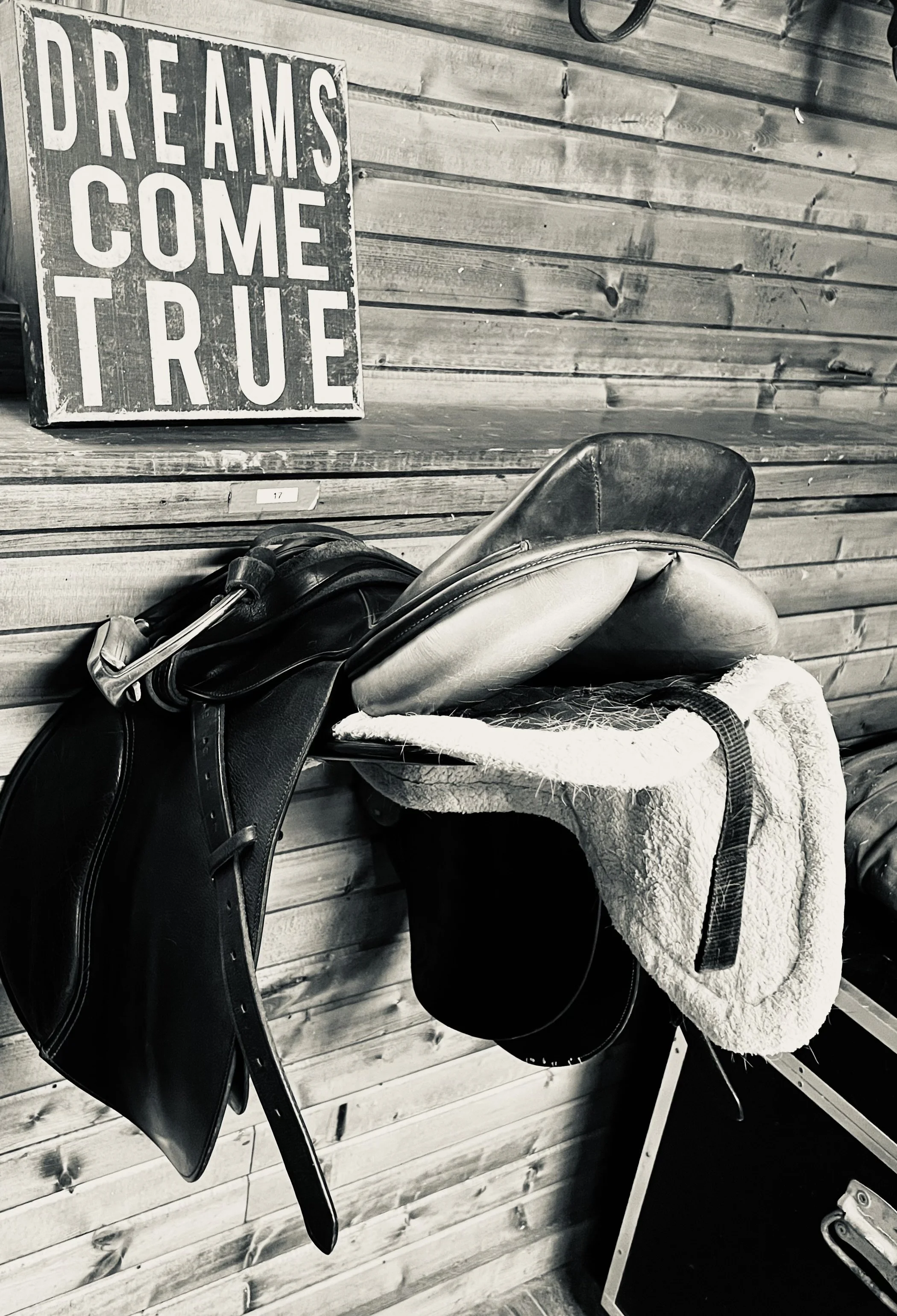 A saddle resting on a saddle stand with a saddle pad underneath, situated against a wooden wall. A sign with the words "Dreams Come True" is mounted on the wall above.