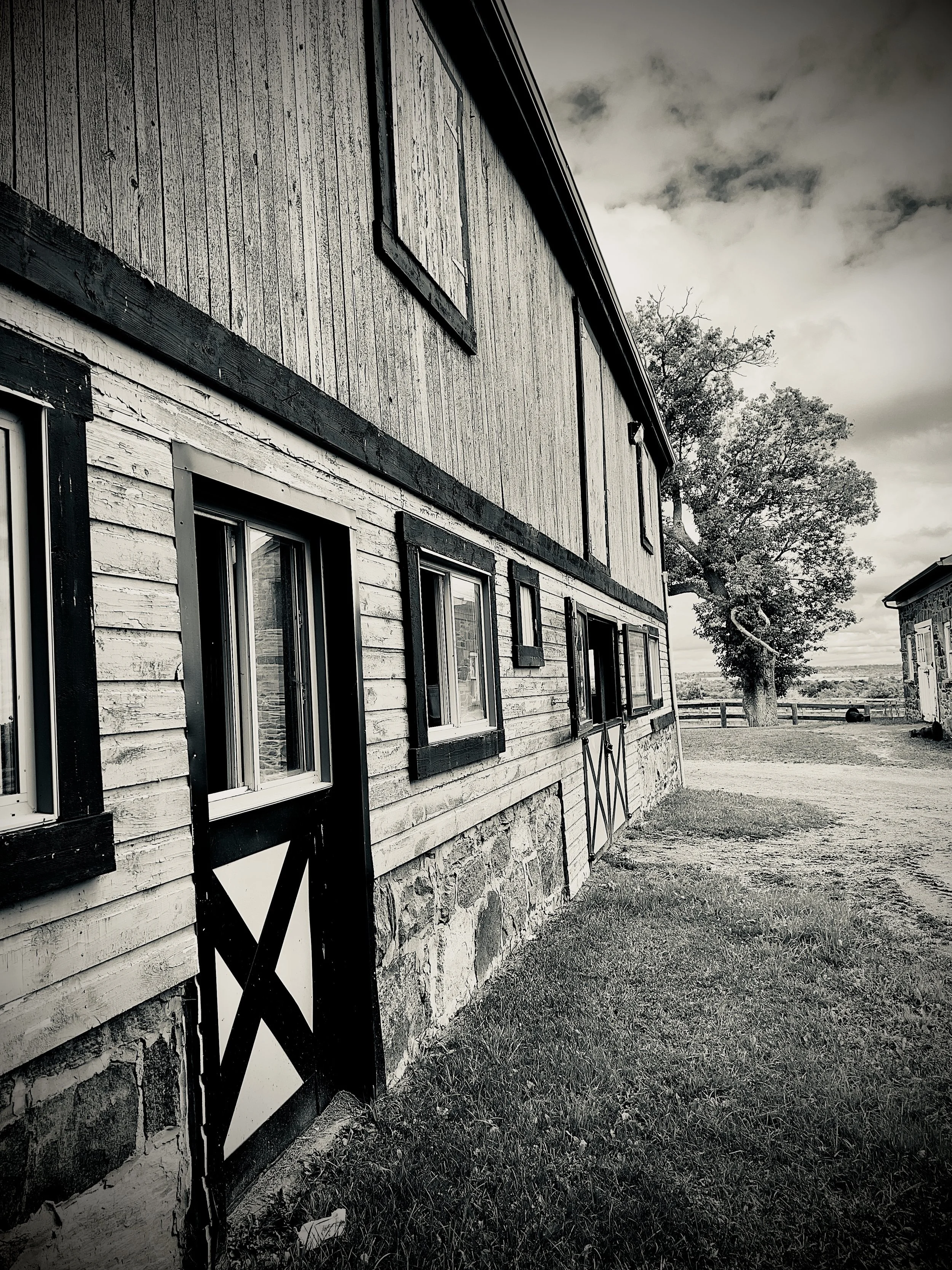 Black and white photo of a rustic, wood-sided barn with a stone foundation, multiple windows, and a small door with cross-braced design, situated in a grassy area with a large tree and cloudy sky in the background.