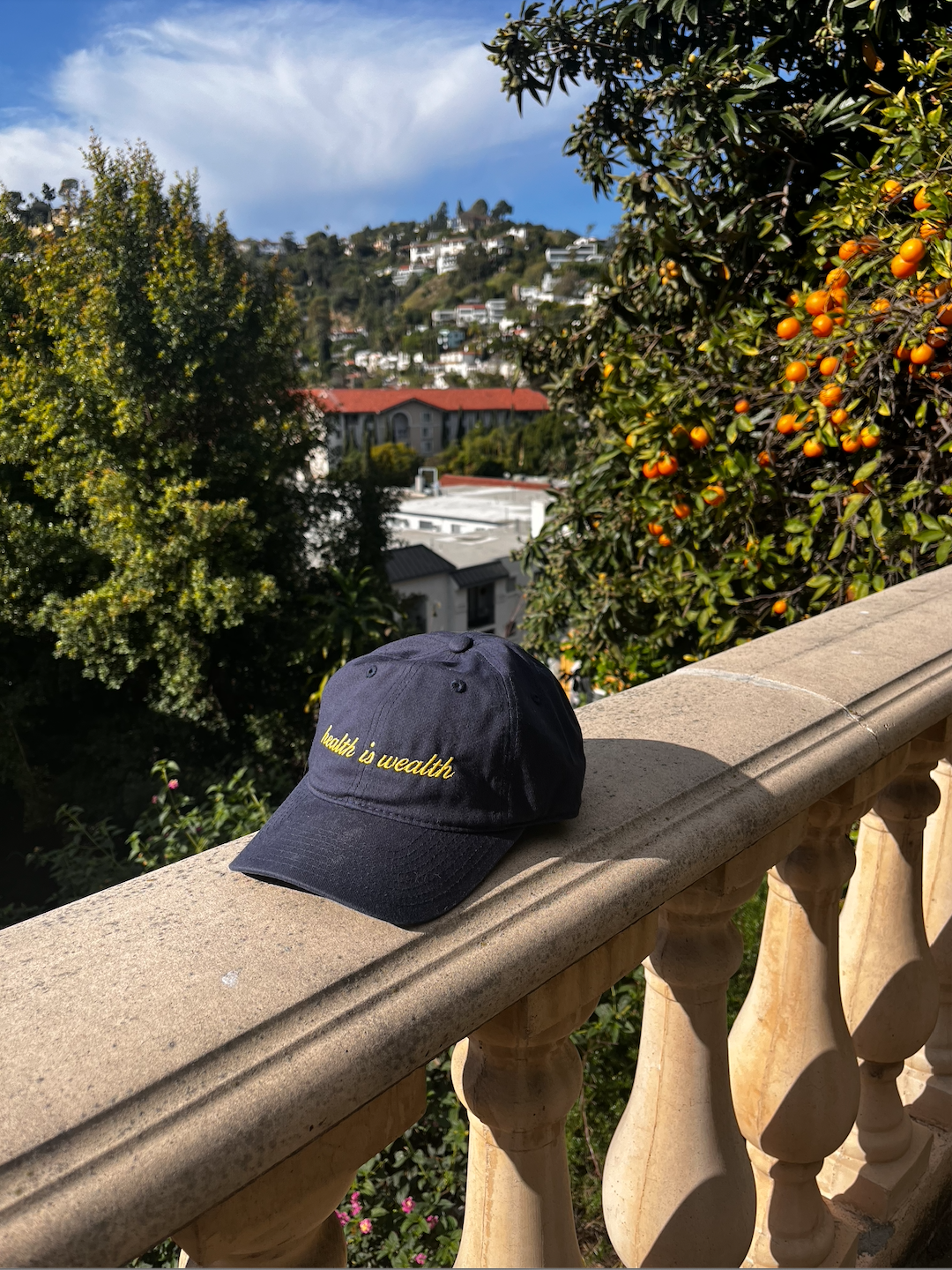 A navy blue baseball cap on a stone balcony railing with the message 'wealth is wealth' embroidered in gold; green trees, orange trees, houses, and a hillside with many houses in the background under a partly cloudy sky.