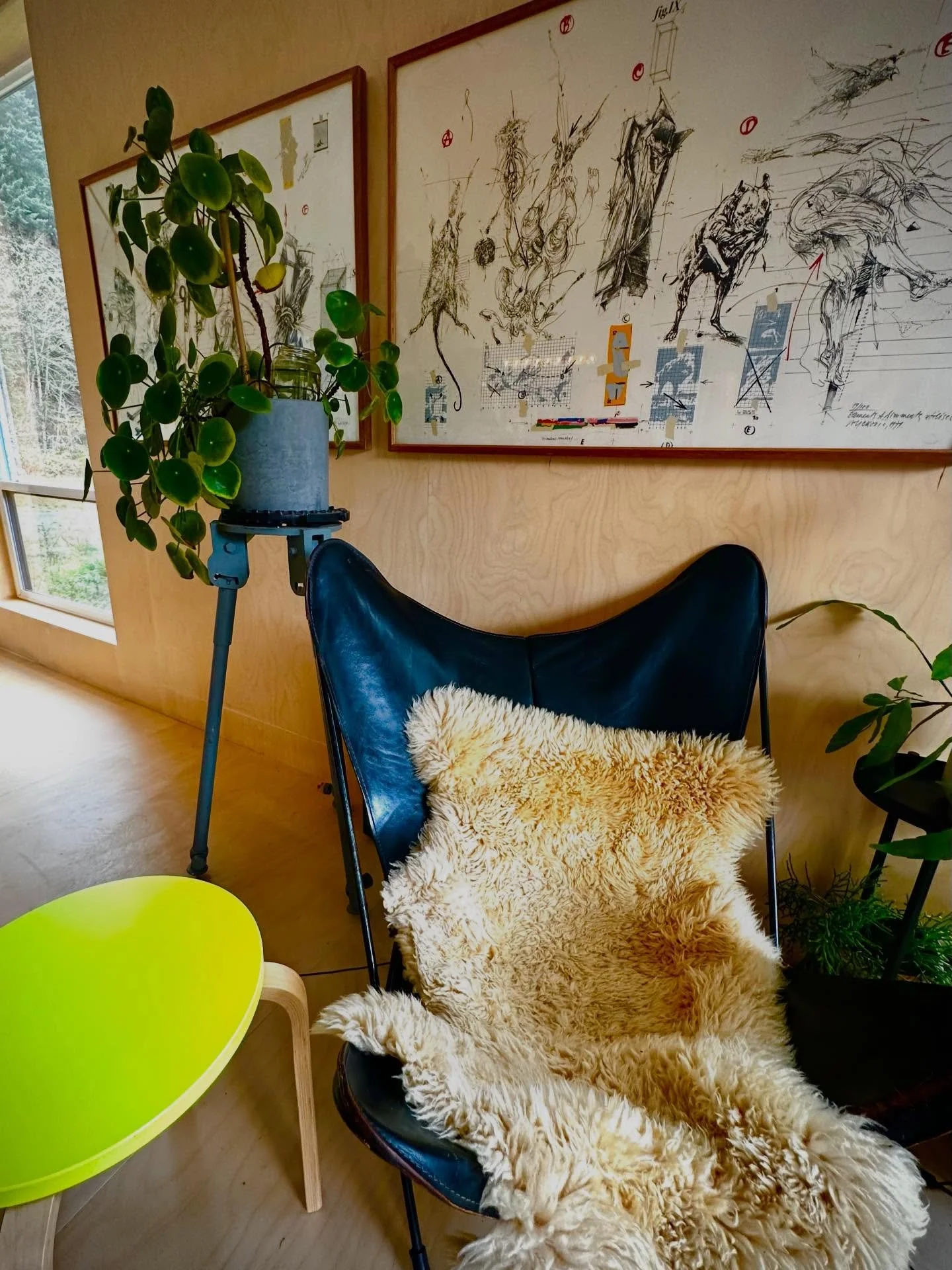 Columbia gorge getaway, small and simply clad in Baltic birch plywood, some neon color pops, vintage furniture and ☀️-loving plants