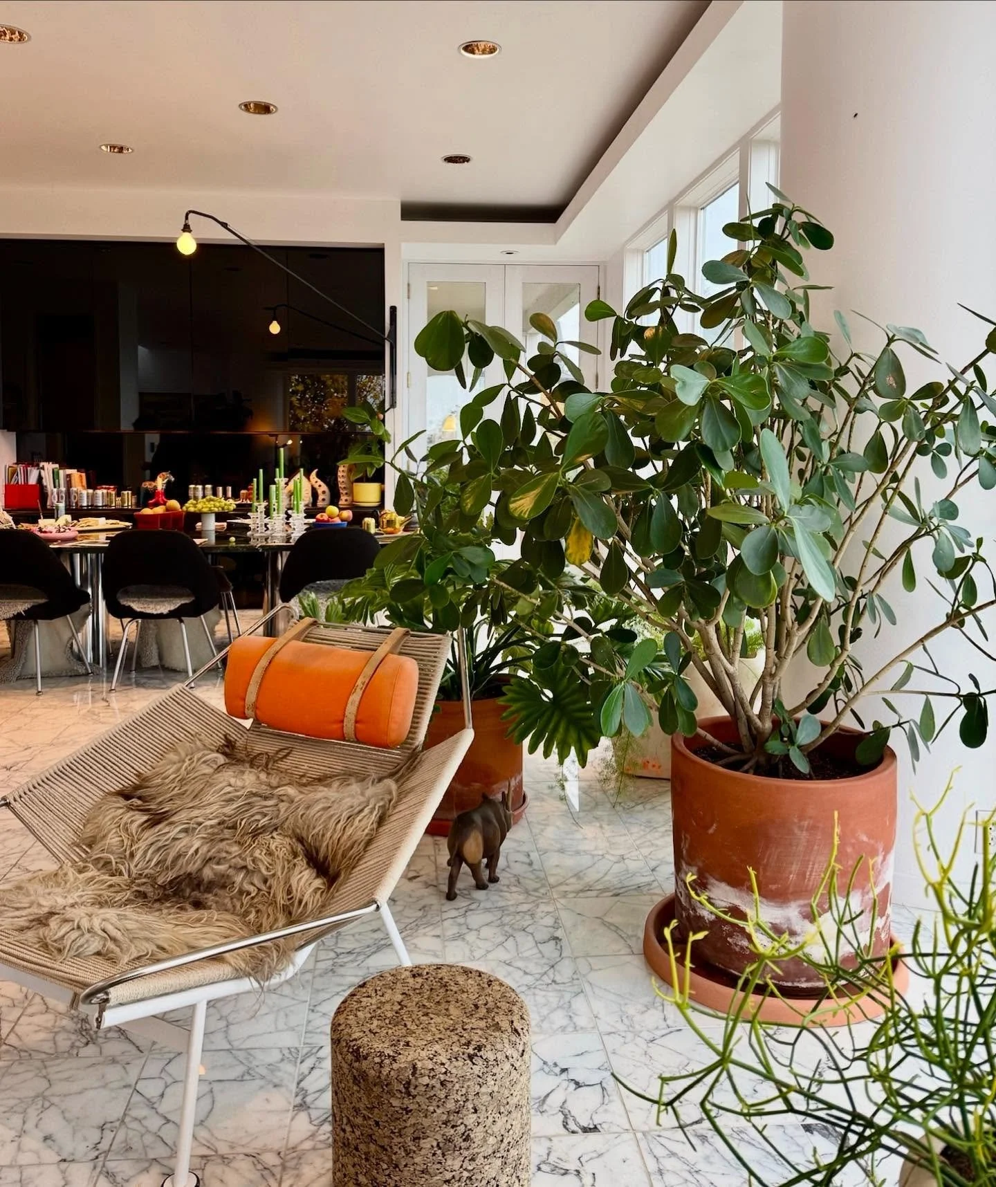 Friday combo: An autograph tree from @ariumbotanicals and the Flag Halyard chair by Hans Wegner for @ppmobler 🌱 

#flaghalyard #hanswegner