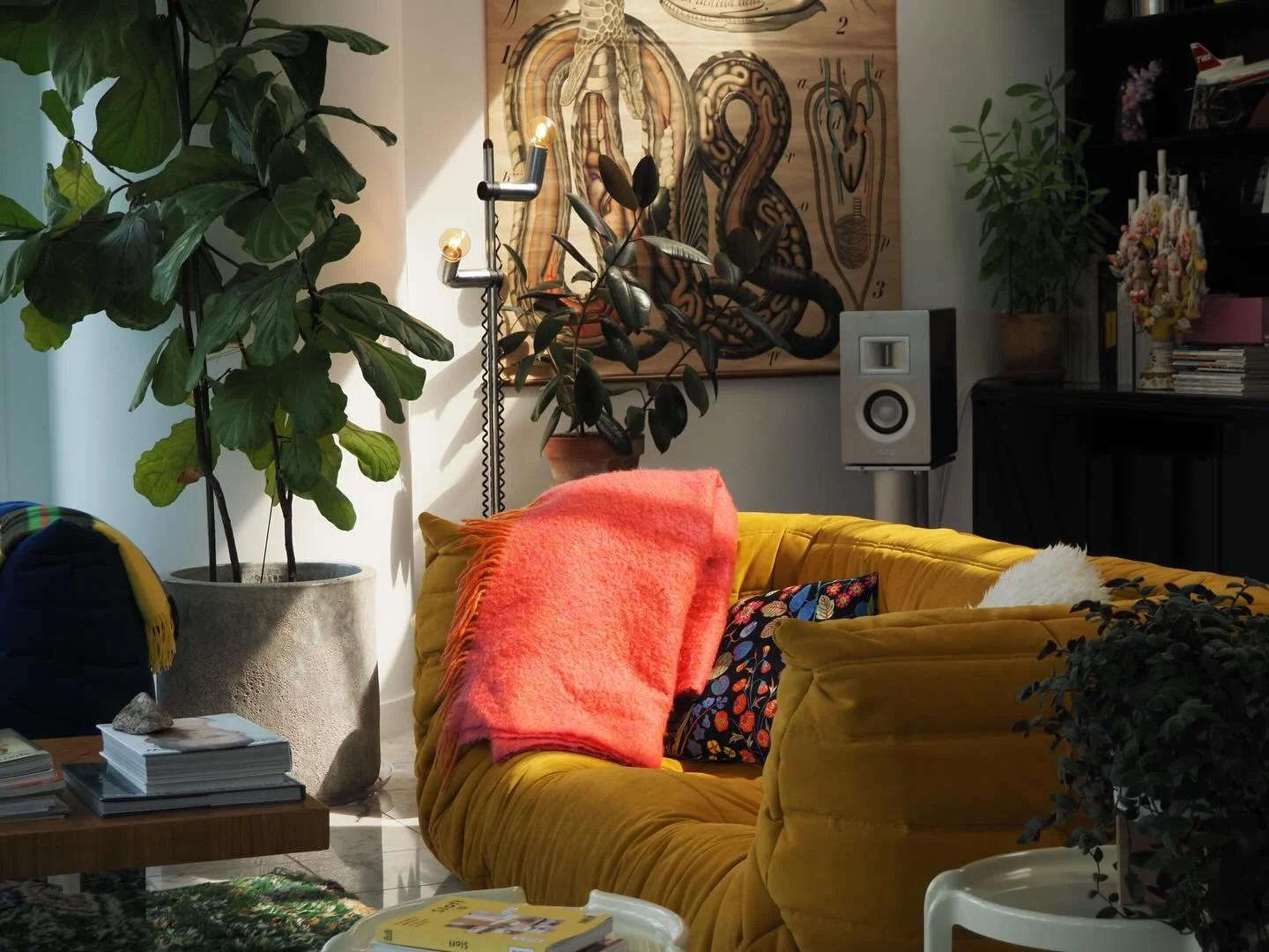 Color is good for your health. Sometimes even clashing color feels good because you notice that it doesn&rsquo;t match 

#lignerosettogo from @midcenturyla 
pink throw blanket from @stackelbergs 
#joseffrank pillows from @svenskttenn 
#milobaugman vi