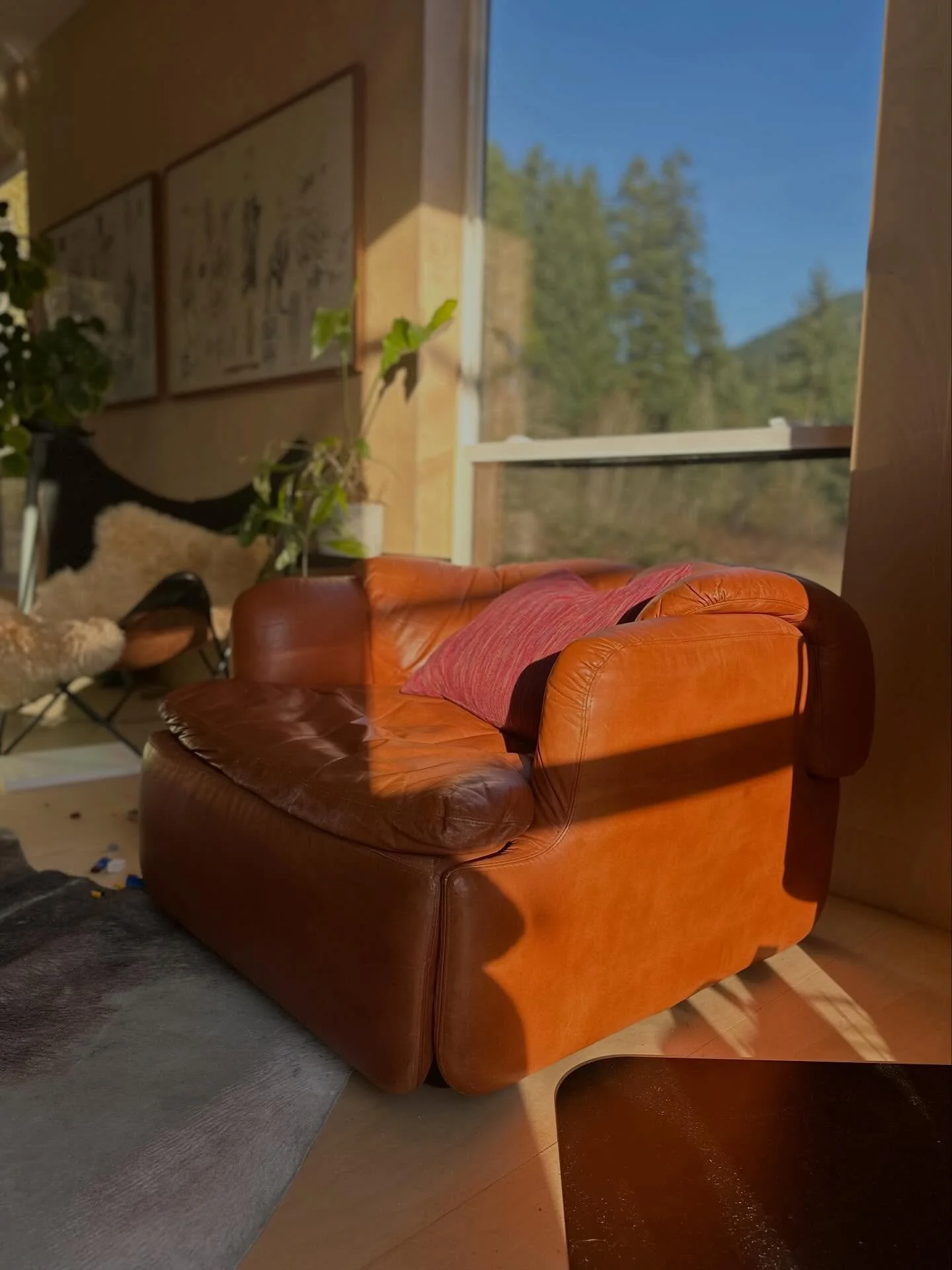 Putting it all together - vintage furniture, plants and how it frames the world around you 

#confidentialsaporiti chair, climbing monstera with @jimdinestudio, #nielsgammelgaard Pelikan cafe table and chairs