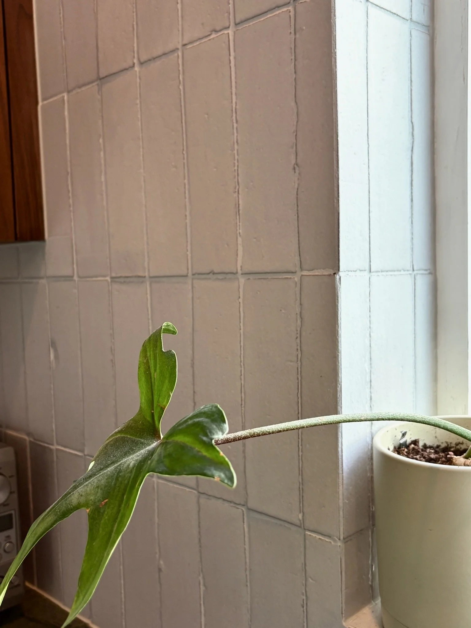 Hj - Irvington Condo - 8 of 14.jpeg