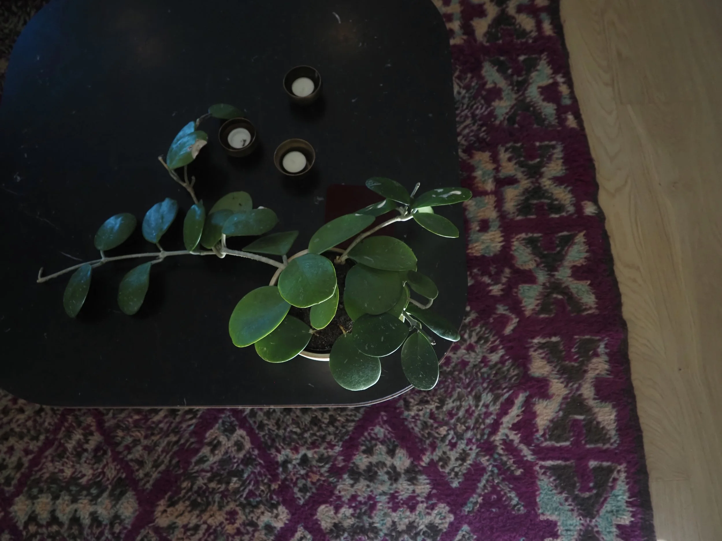 Hj - Irvington Condo - 4 of 14.jpeg