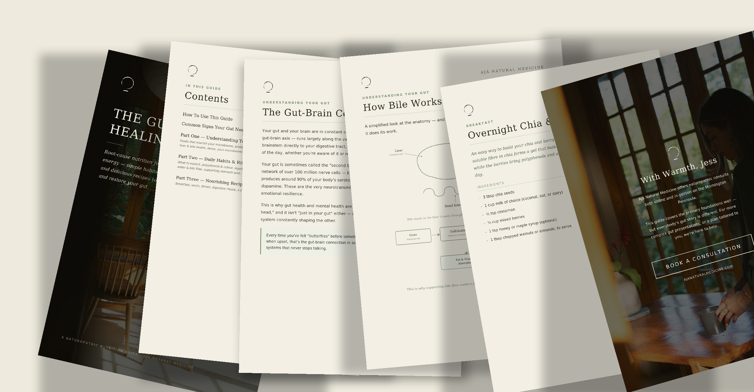 Gut-Healing-Guide-Preview-Spread.png