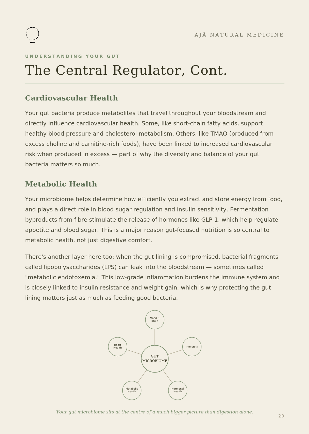 Screenshot 2026-08-01 at 2.32.51 pm.png