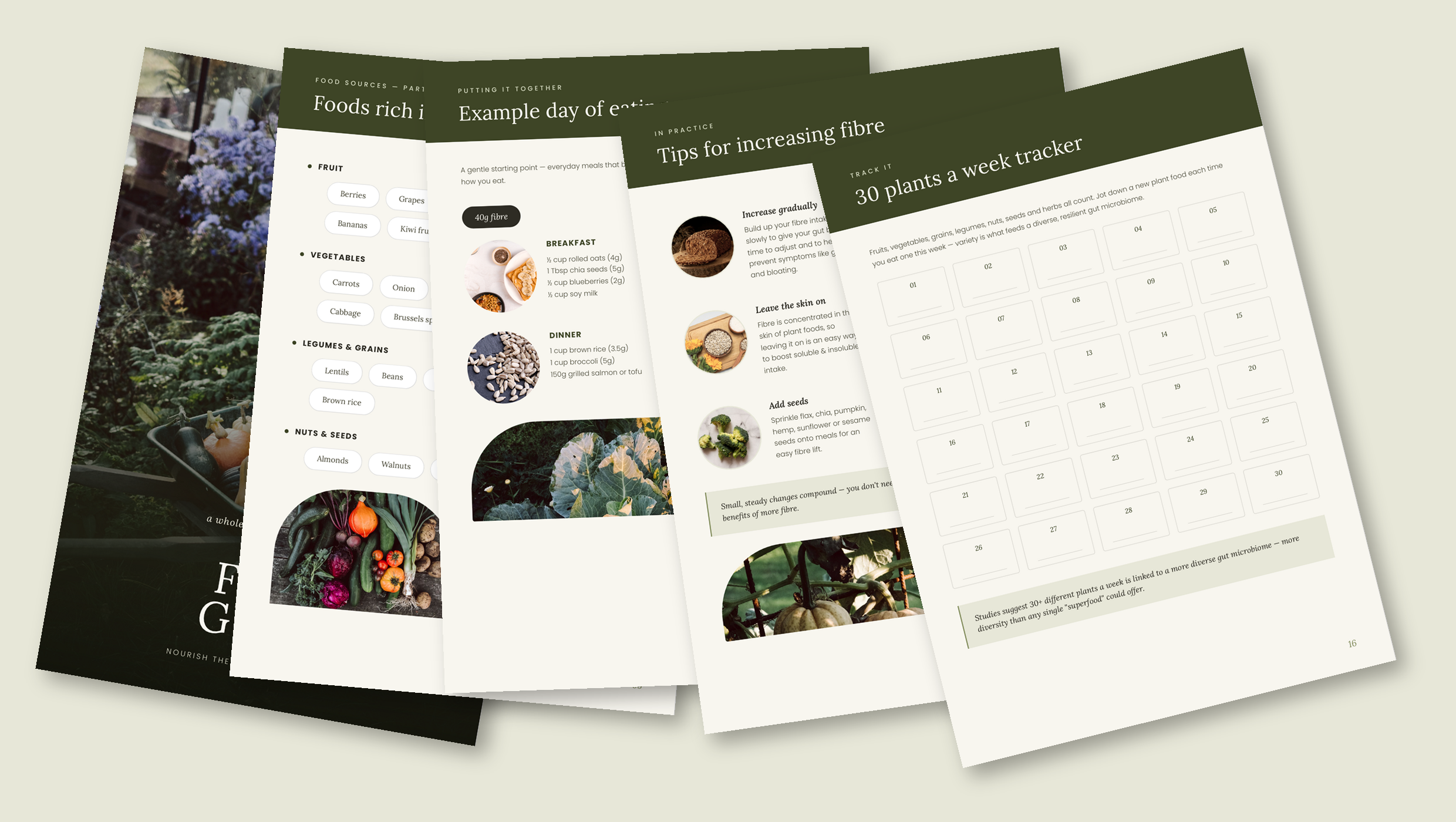 fibre-guide-preview-collage.png