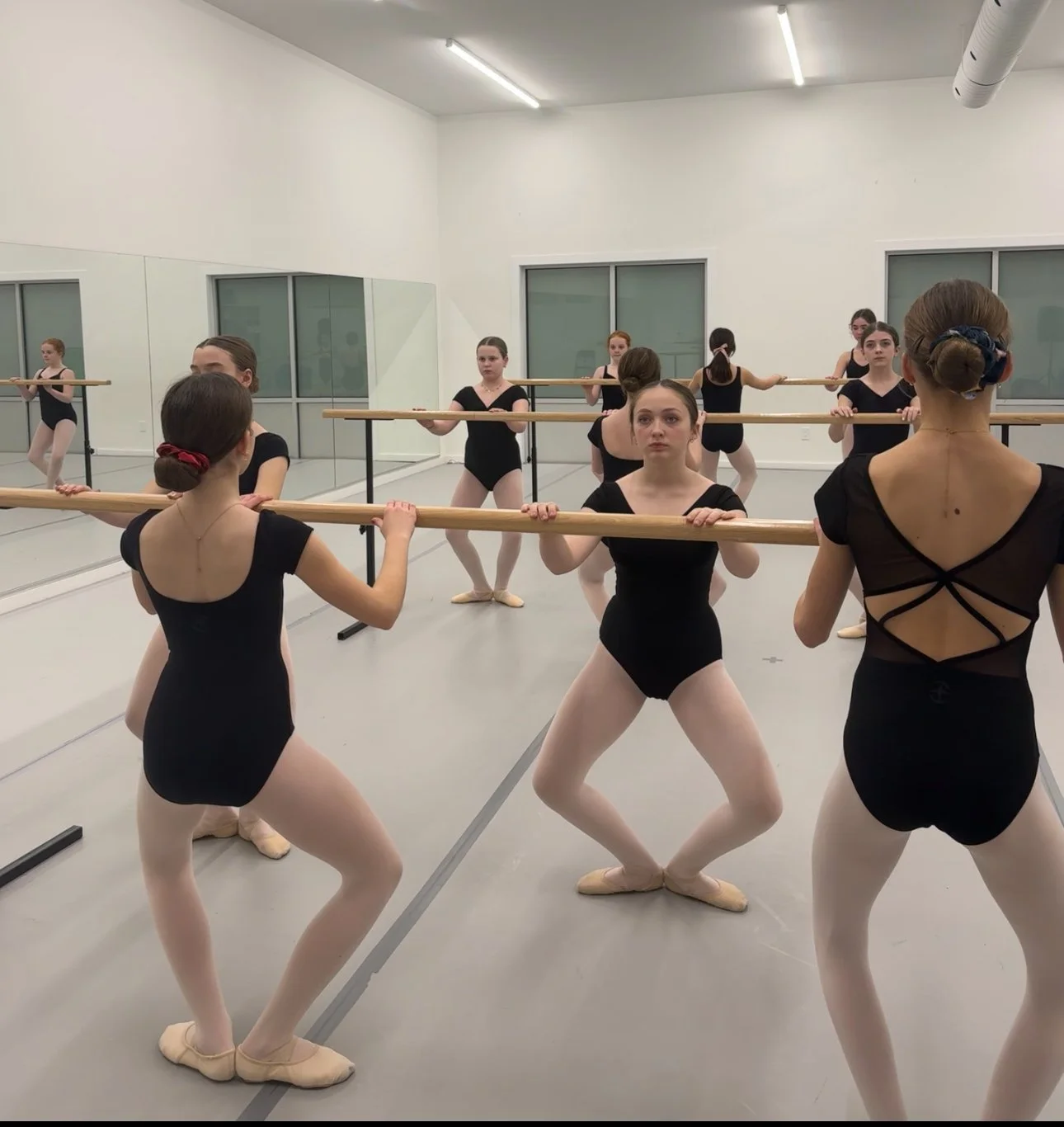 A group of ballet dancers practicing with a ballet barre in a dance studio, wearing black leotards, tights, and ballet slippers, facing a mirrored wall.