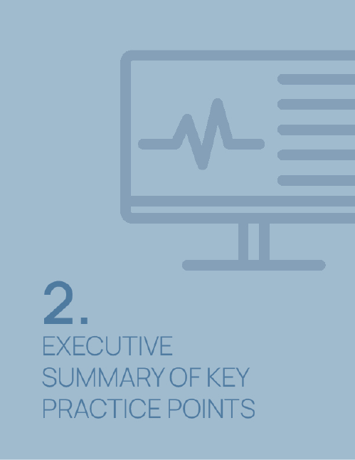 2. Executive Summary of Key Practice Points