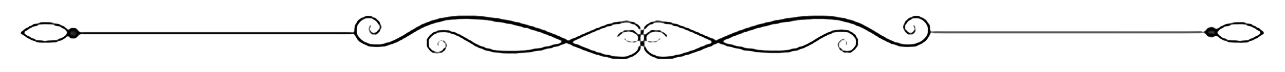 Decorative black ornamental divider with intricate swirls and loops.