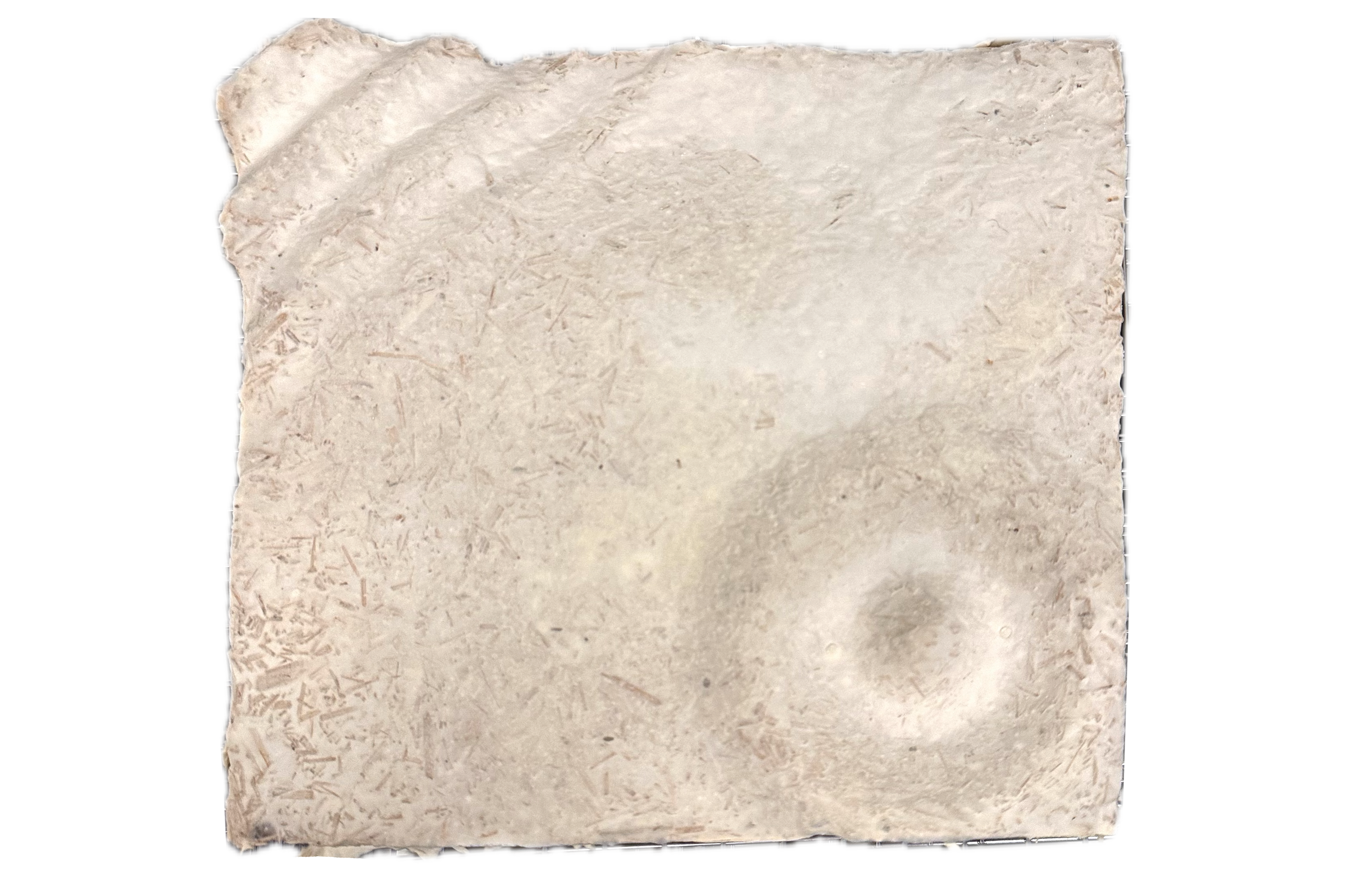Mycelium Physical Tile