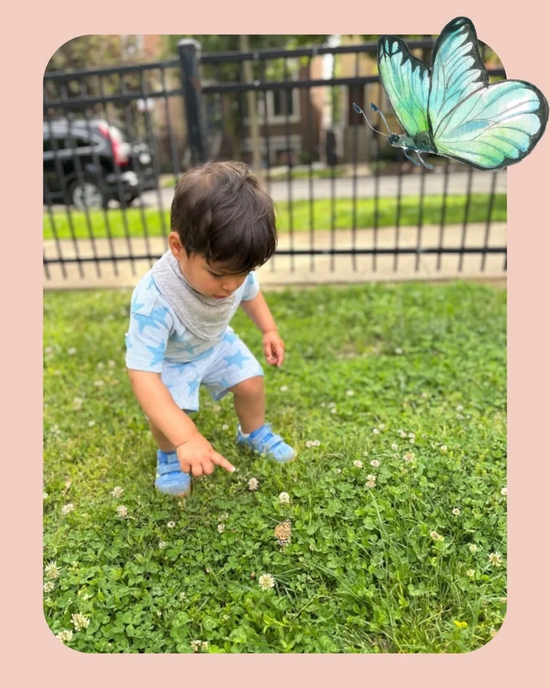 Over the past few weeks, our toddlers carefully observed caterpillars grow and transform. Today they got to release them at the park. The kids were filled with excitement as the butterflies landed nearby and fluttered off into the sky 🦋