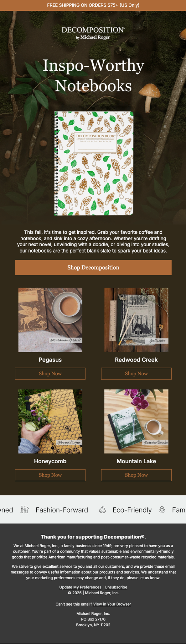 screencapture-klaviyo-campaign-01K77GPV1KQNXTQ4MFC764GGTD-web-view-2026-03-25-17_17_56 1.png