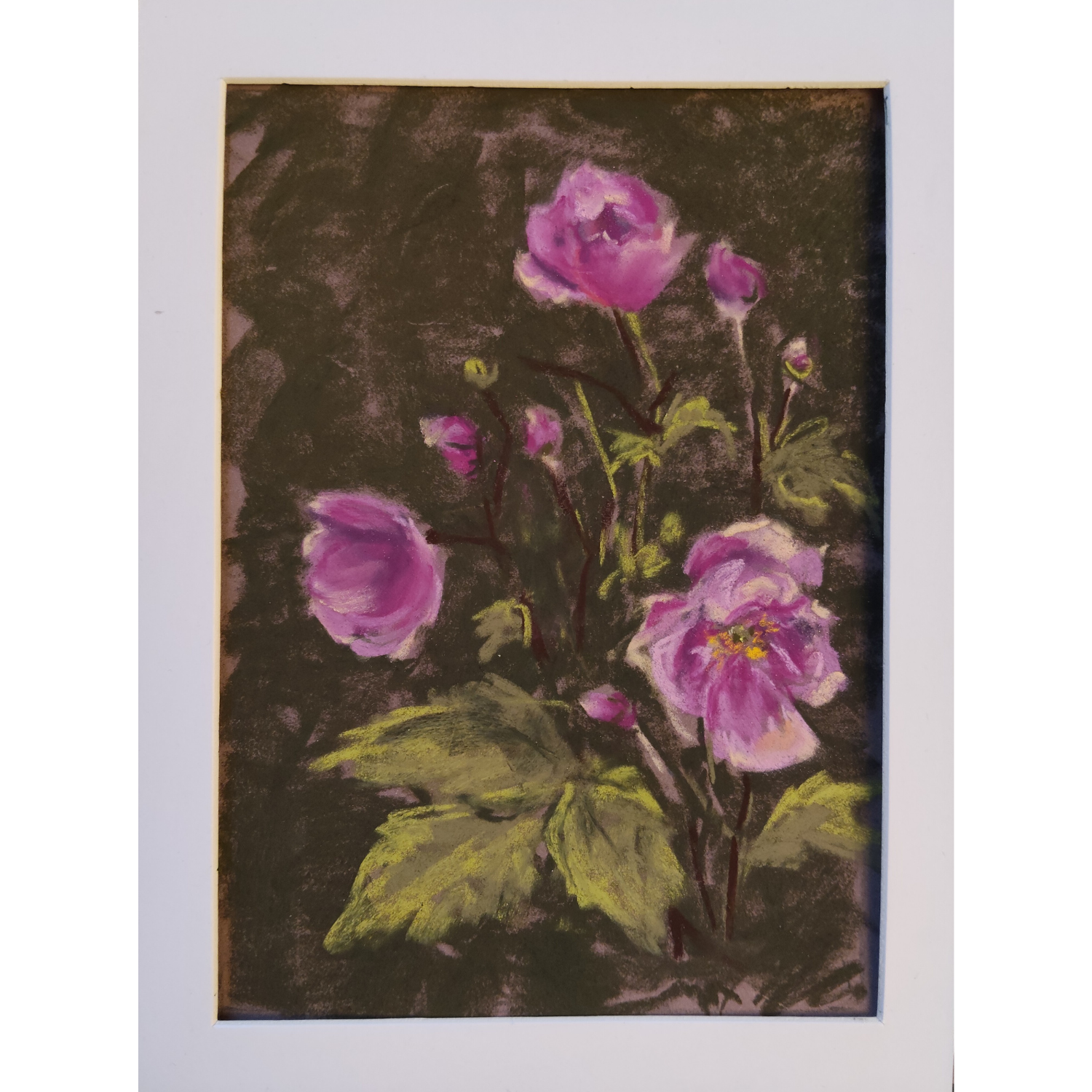 Japanese Anemone