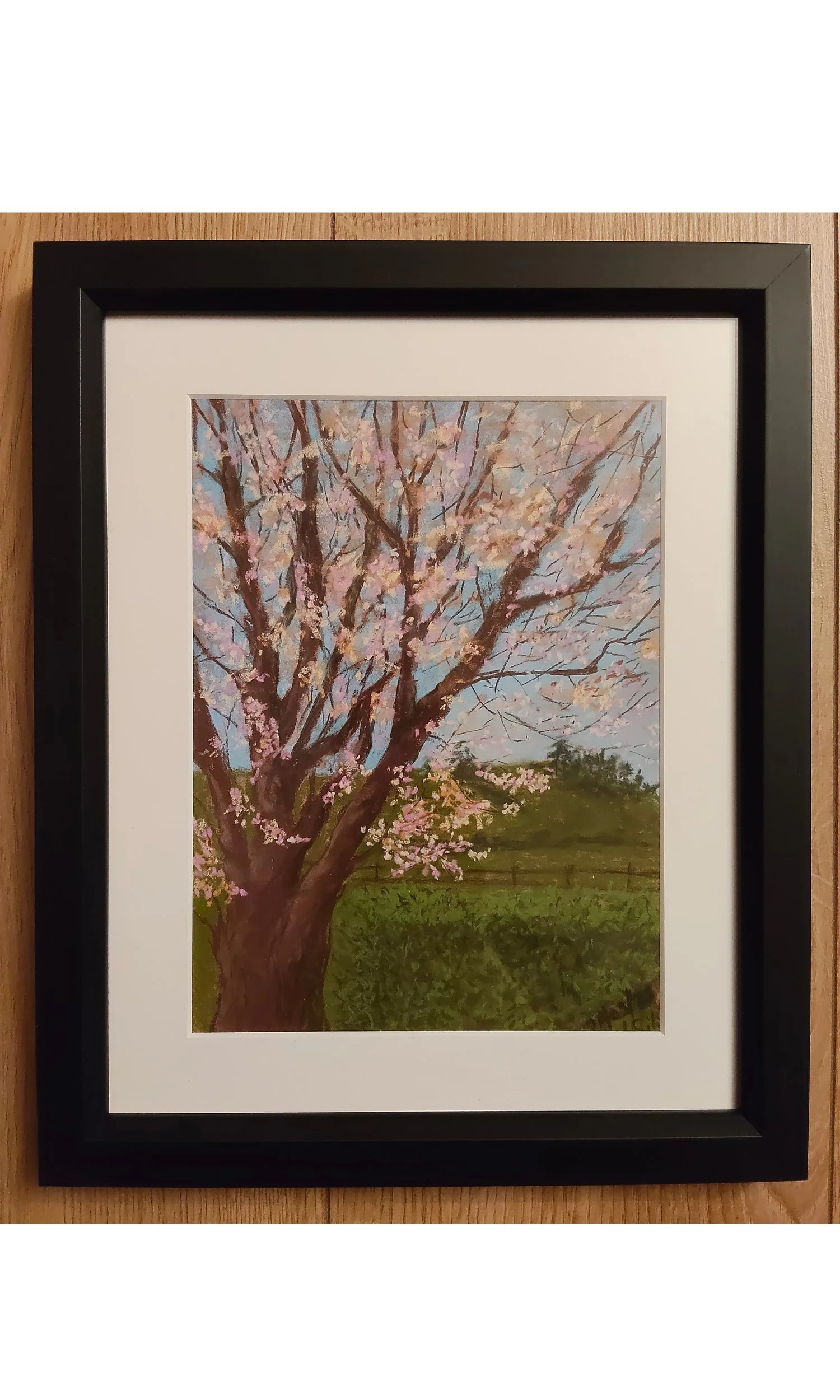 Pink Awakening, soft pastels, framed 28 x 34cm.jpg