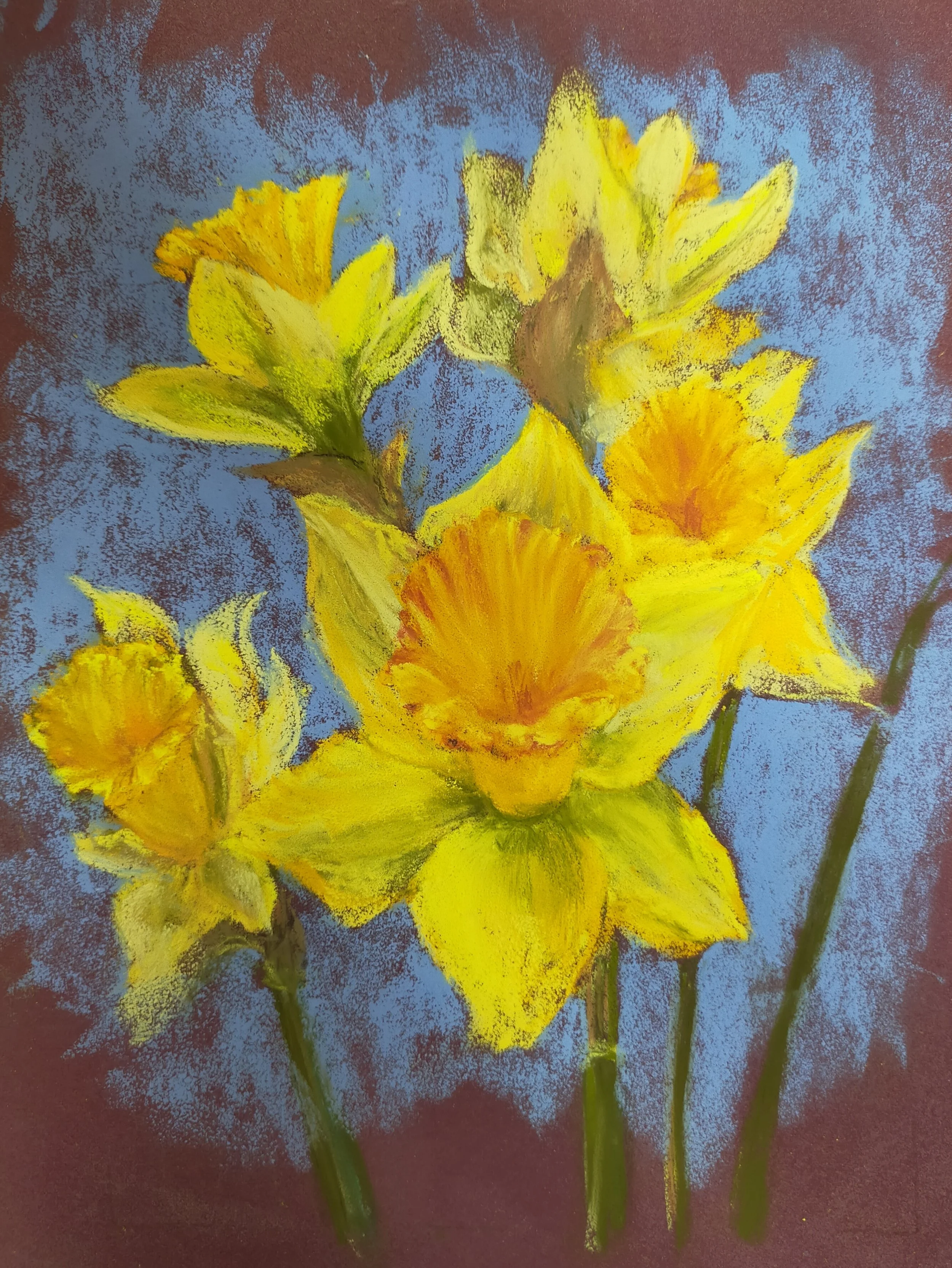 Daffodils