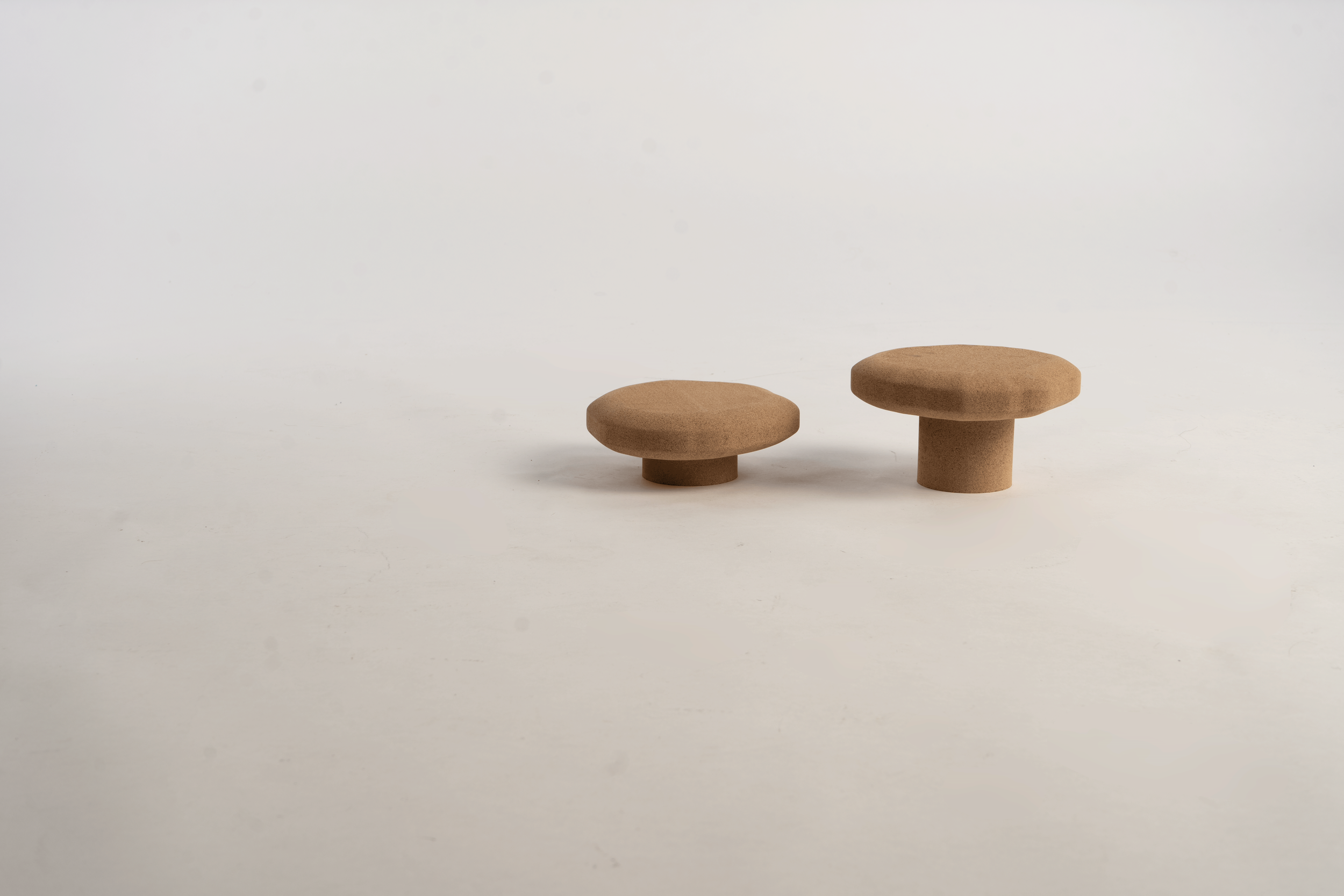 stottie landscape 2_.png