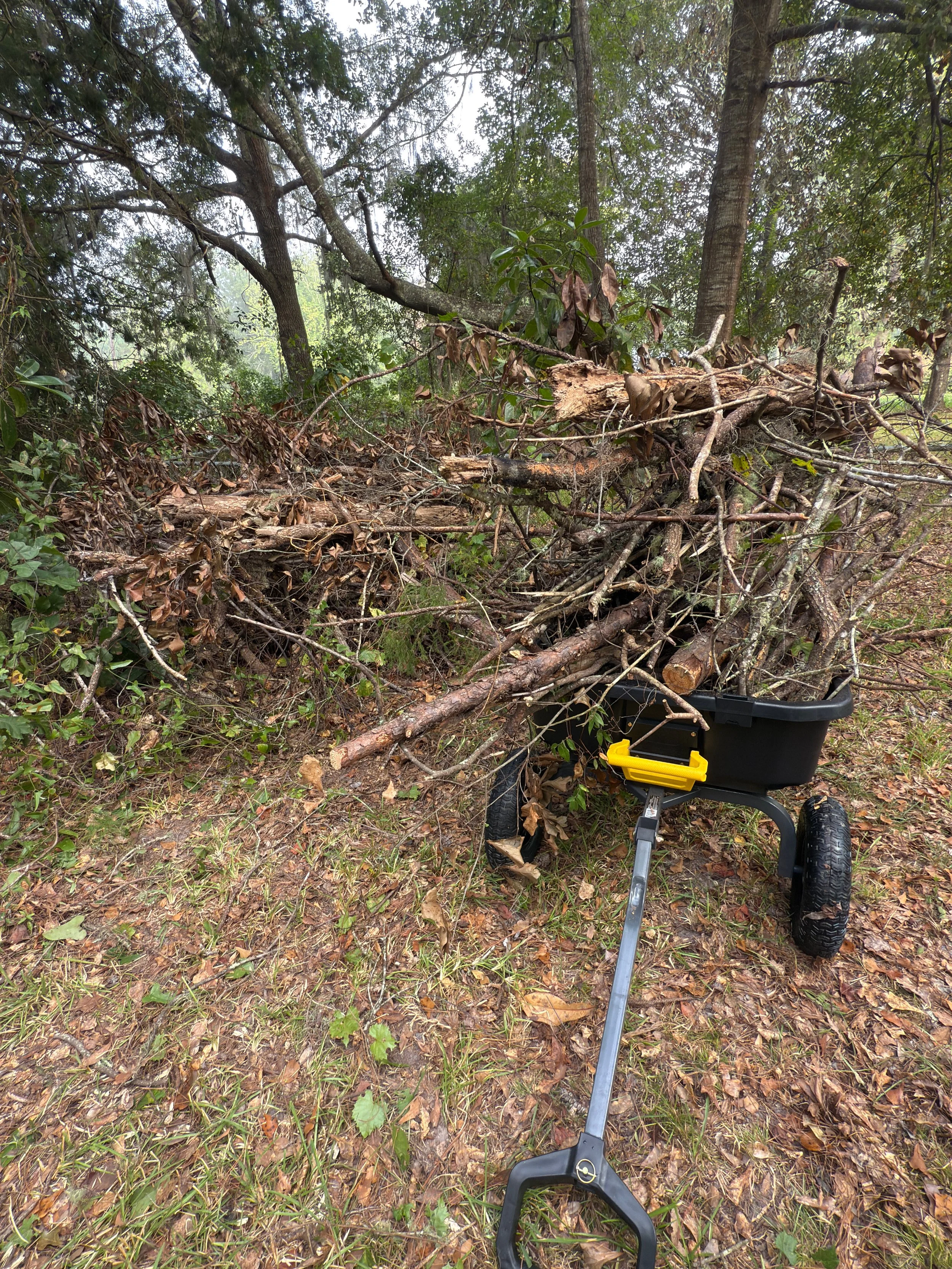 This yard cleanup is a great example of how quickly we can transform an outdoor space. The property had scattered limbs and debris along with an old, non working lawnmower that needed to be removed. Our team came in, cleared all the yard waste, haule