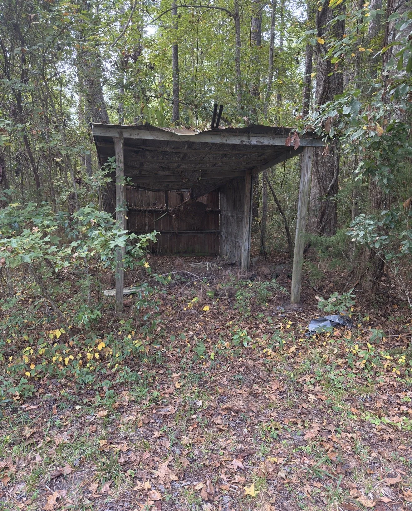 Demolition in kingsland, ga