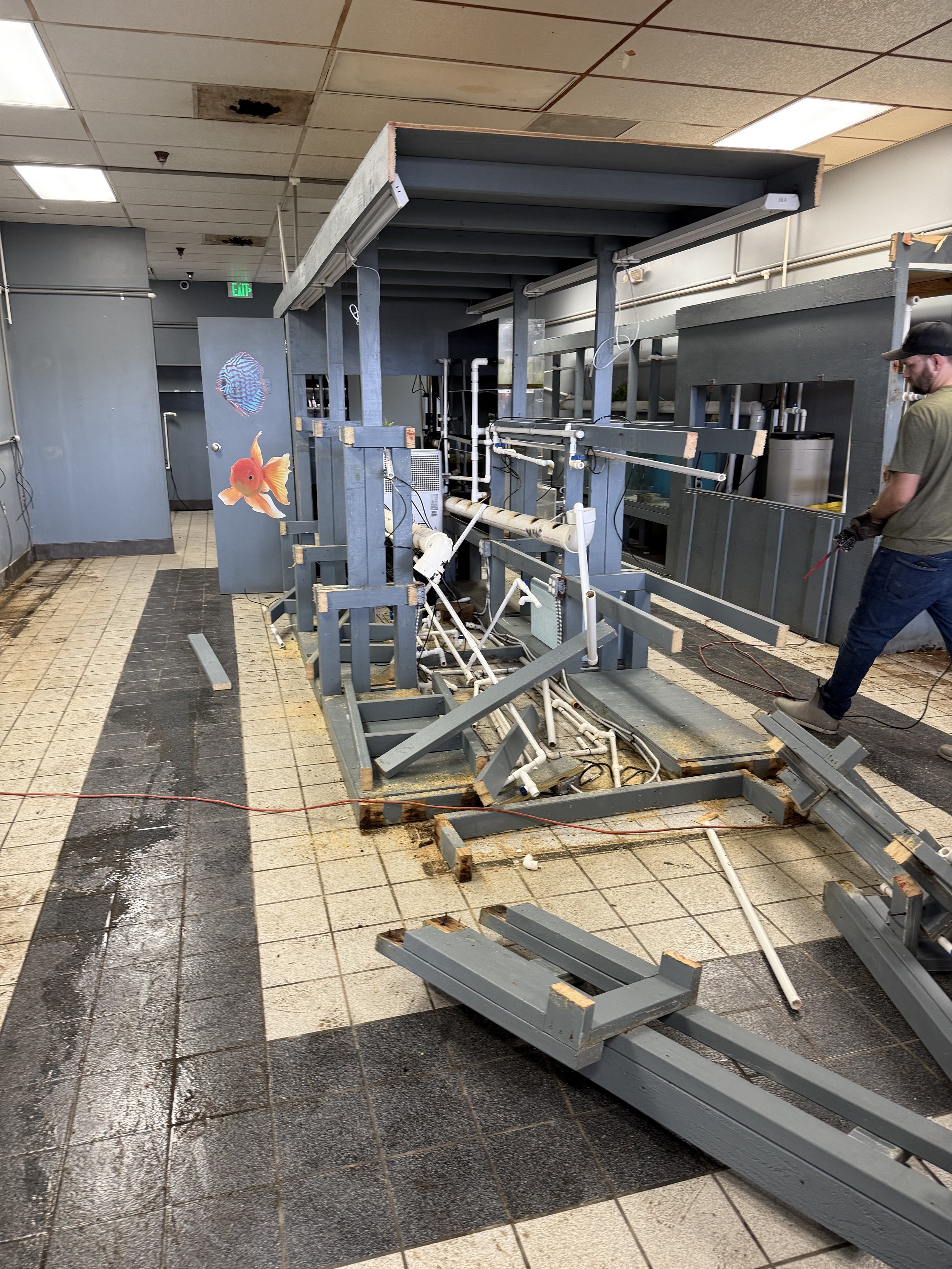 Commercial Clean Out