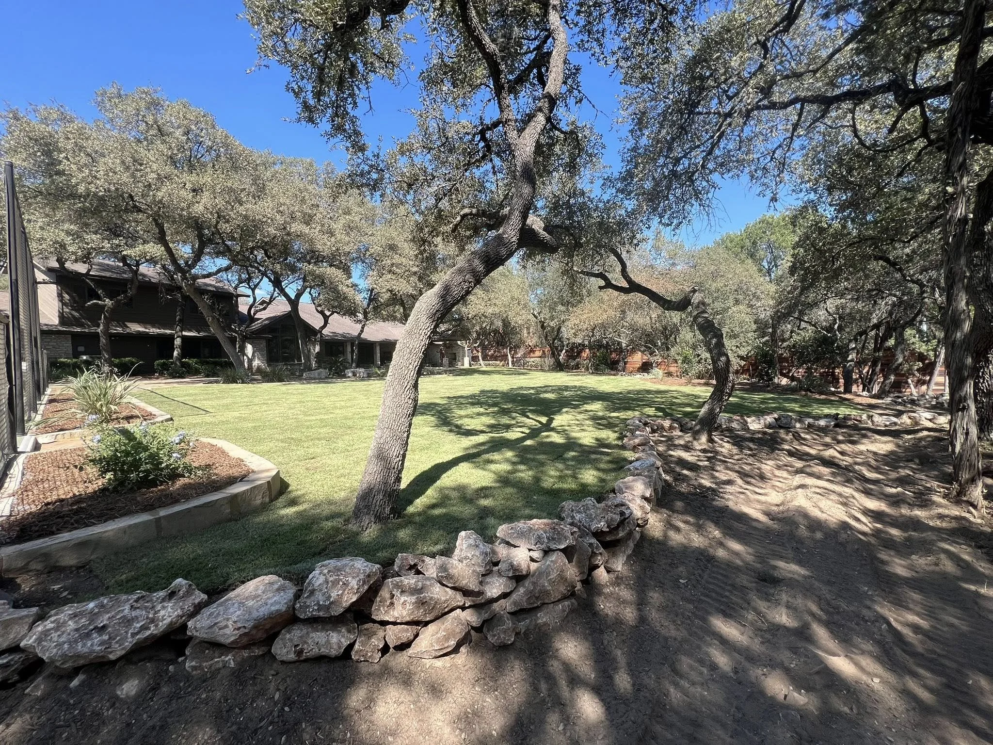 A backyard with a well-maintained lawn, several trees providing shade, a stone border, and a house with a porch in the background under a clear blue sky.