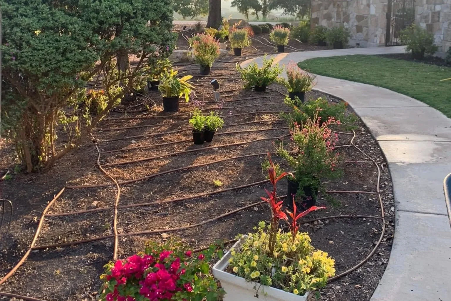Garden bed with various potted plants and flowers, some with colorful blooms, surrounding a curved concrete pathway, with a small lawn and a stone wall in the background.