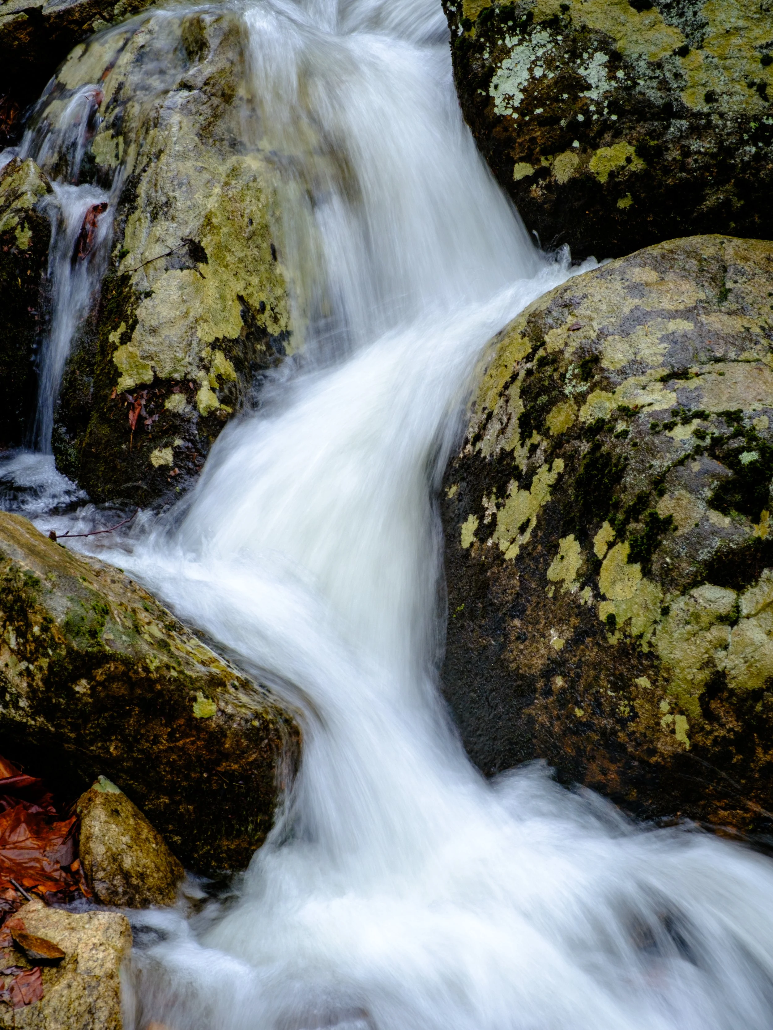 DSCF0217.jpg