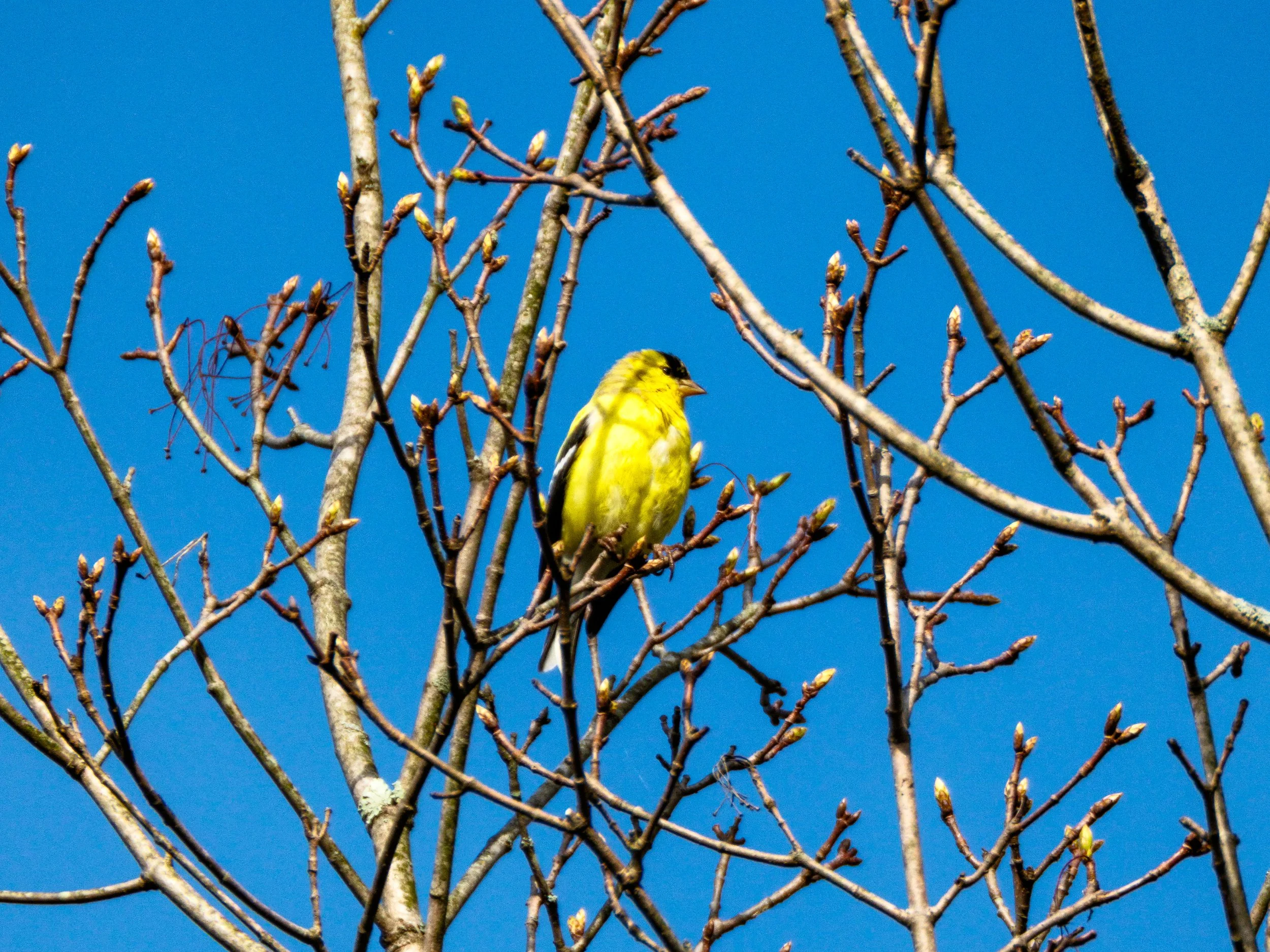 DSCF4507-2.jpg