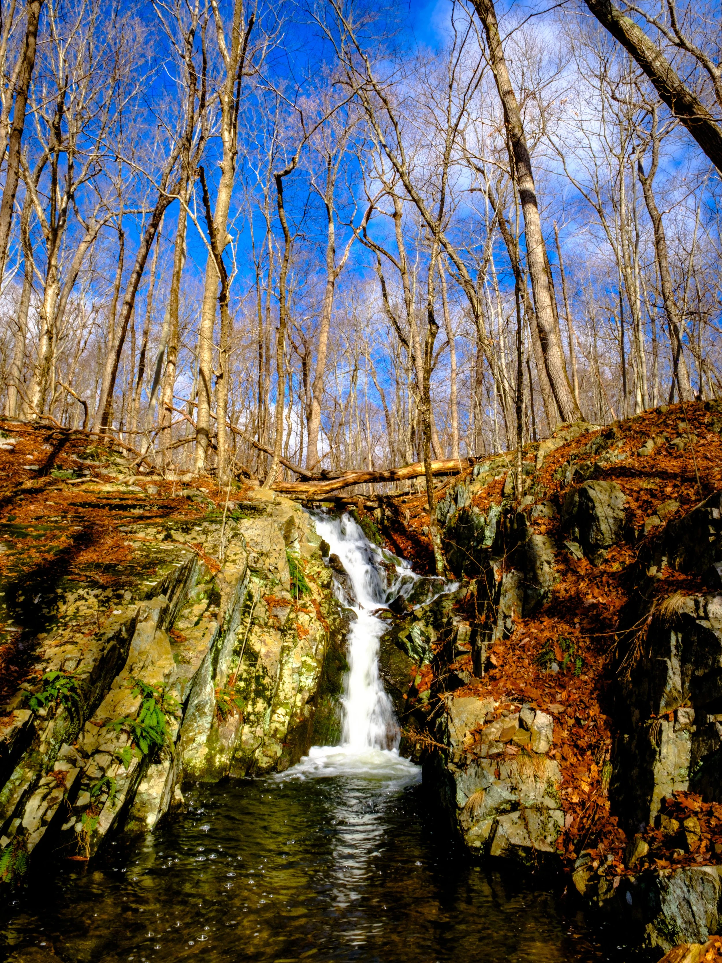 DSCF1135-2.jpg