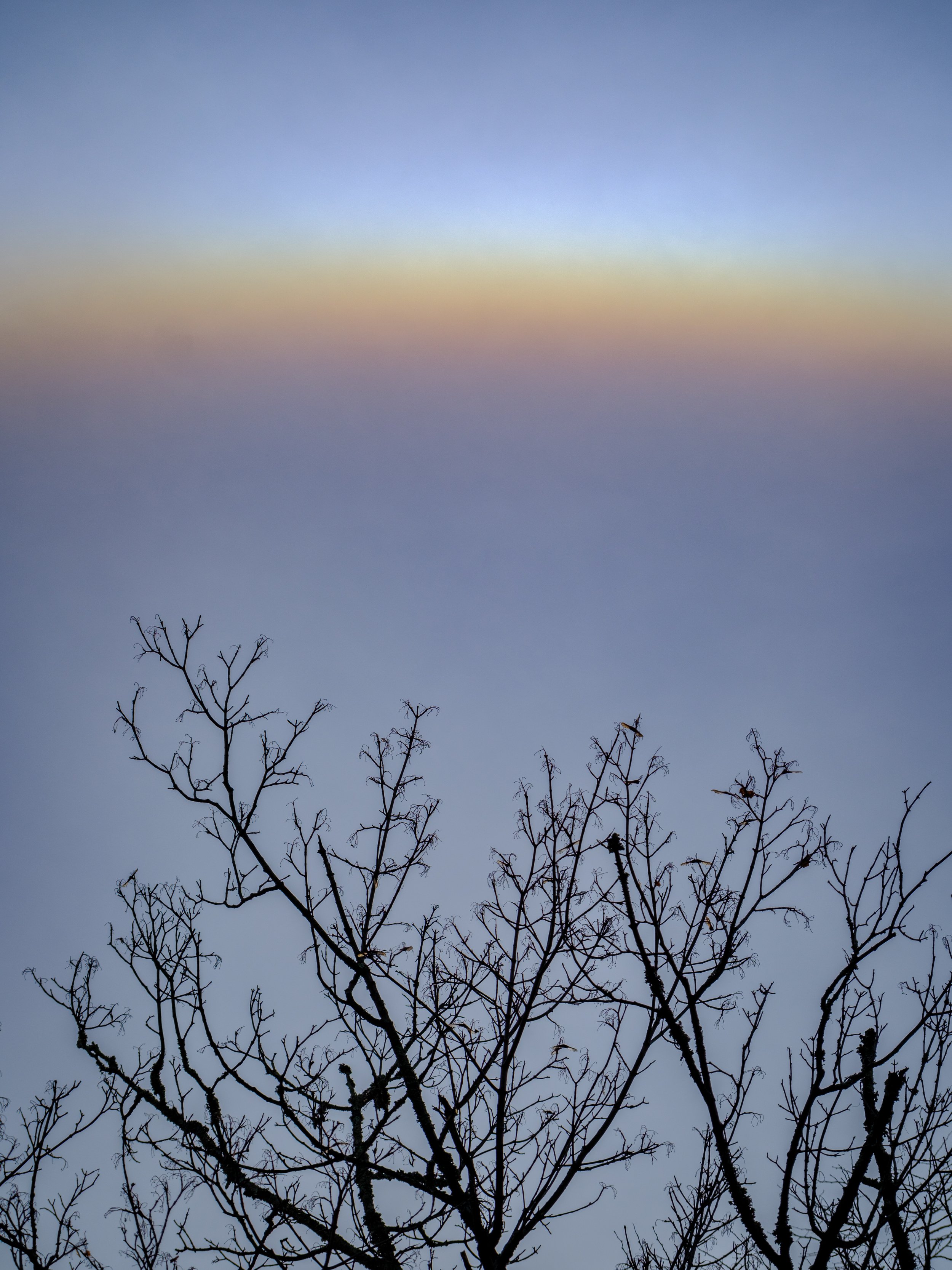 DSCF0855.jpg