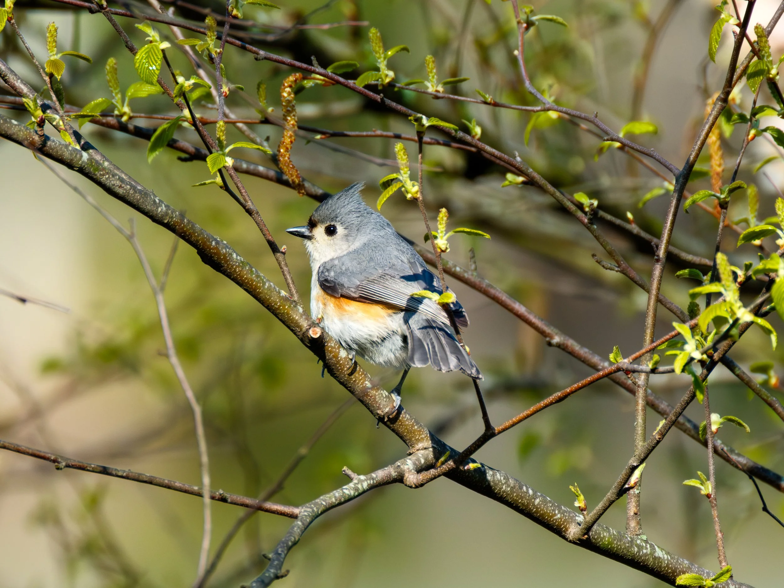 DSCF5087.jpg
