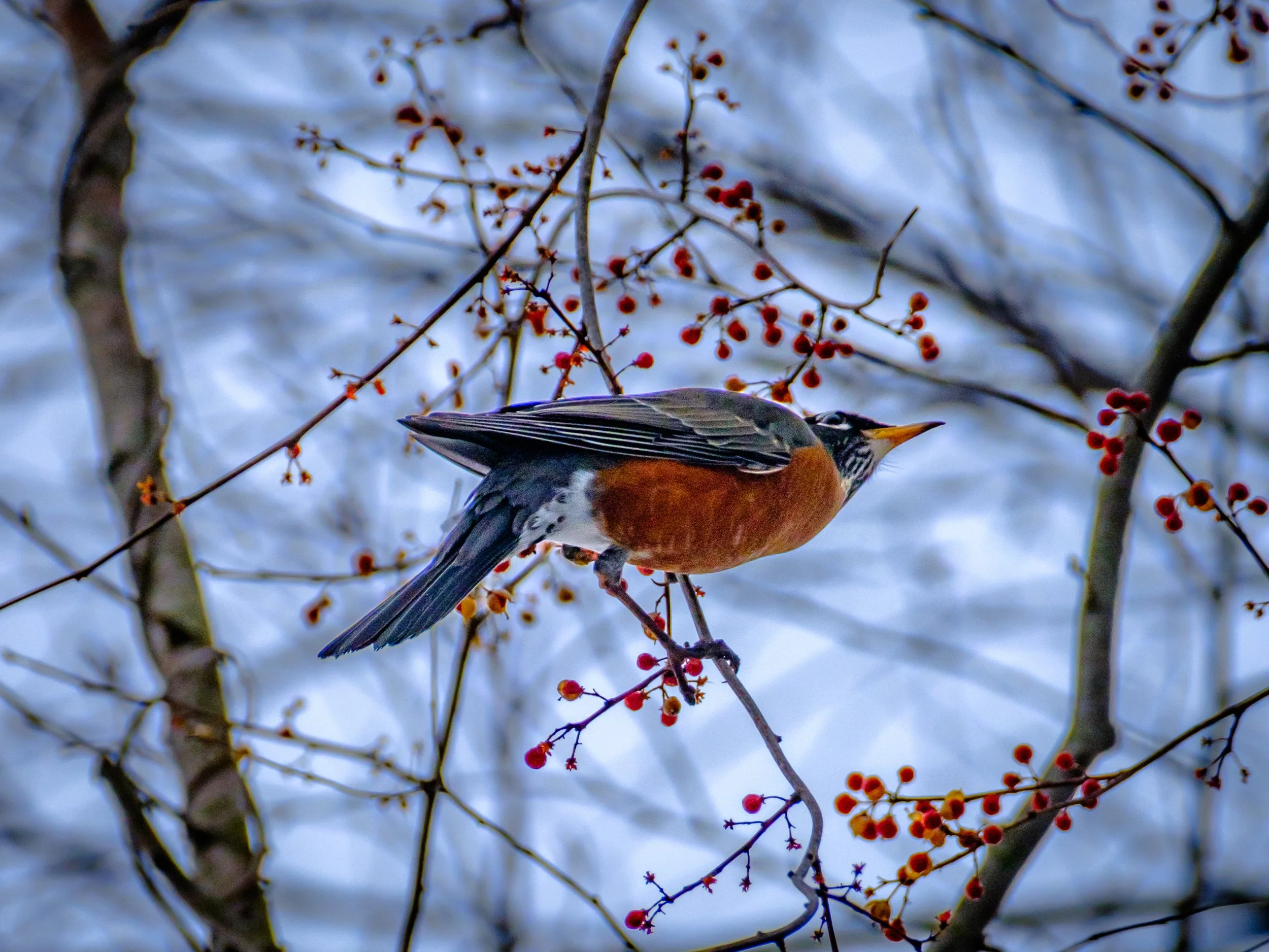 DSCF5712.jpg