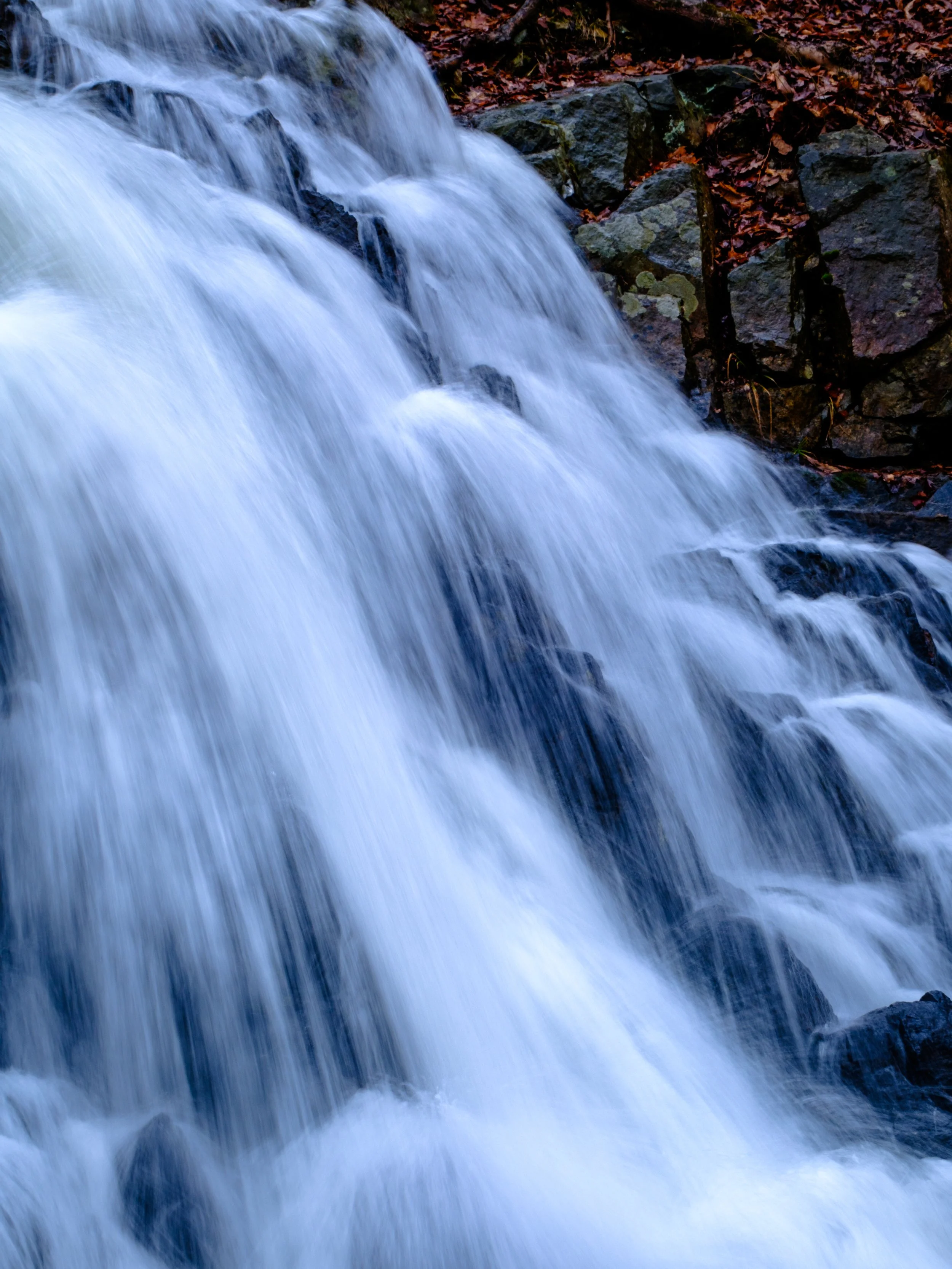 DSCF0161.jpg