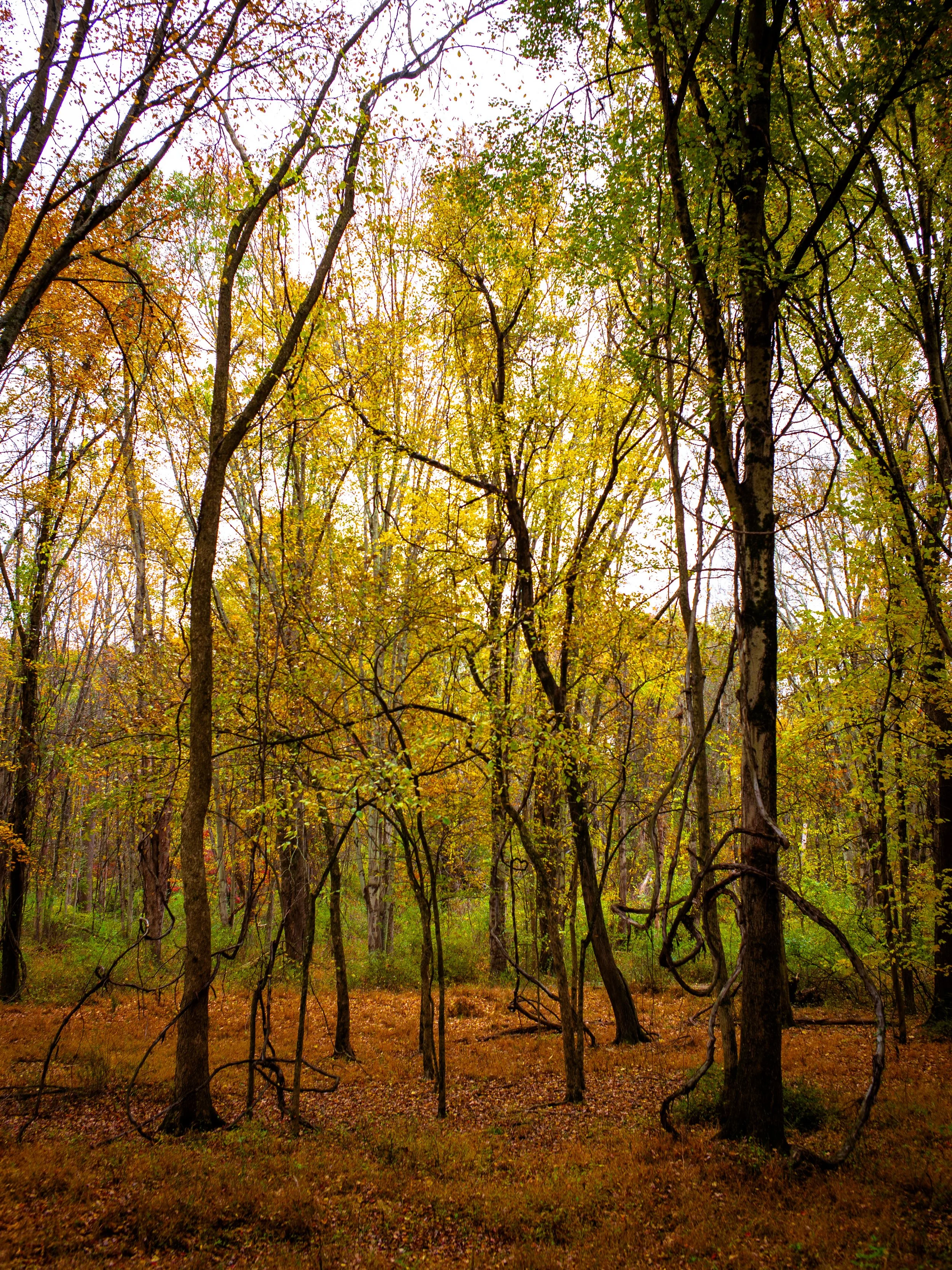 L1001482-2.jpg